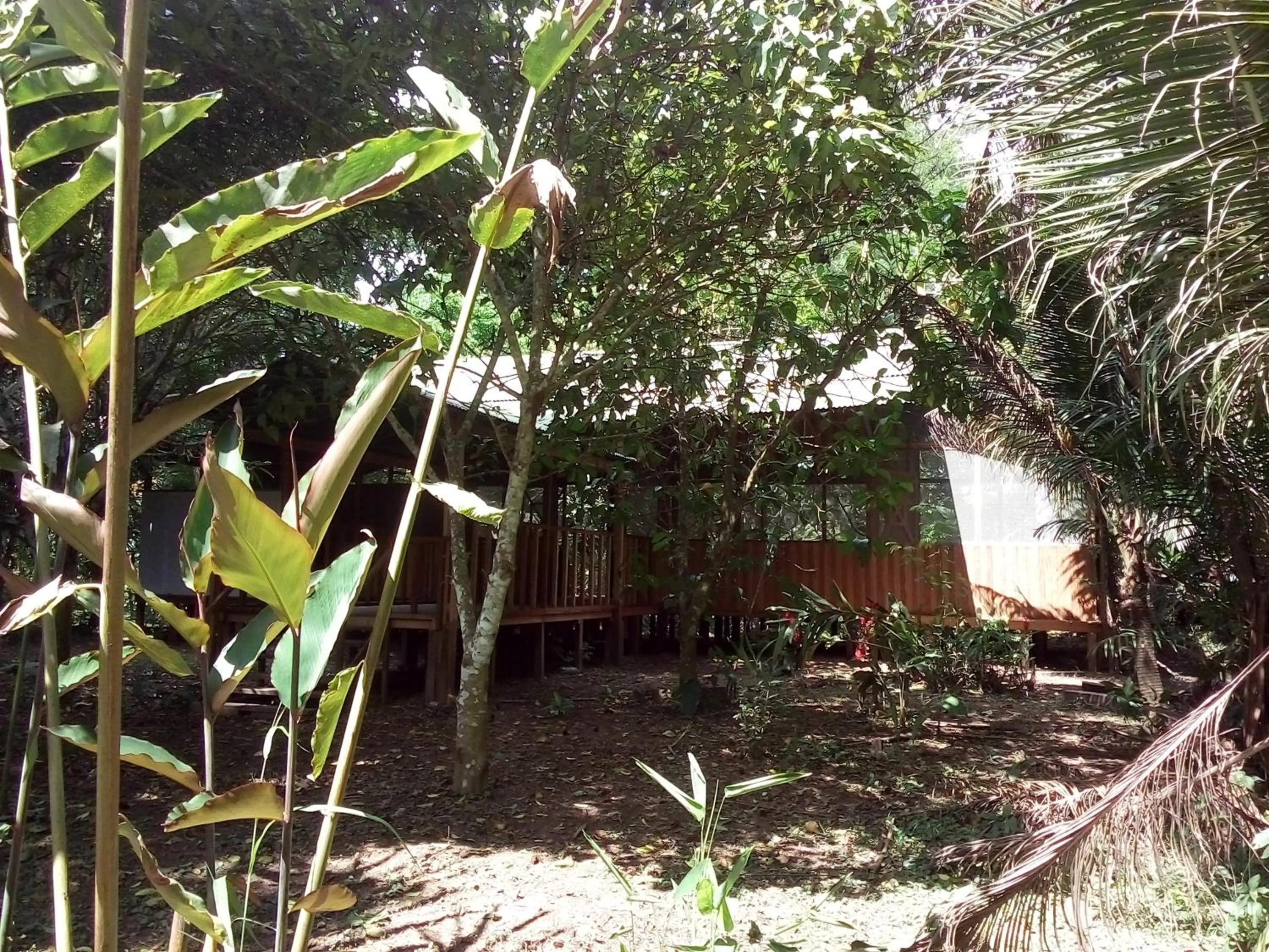 Tambopata River