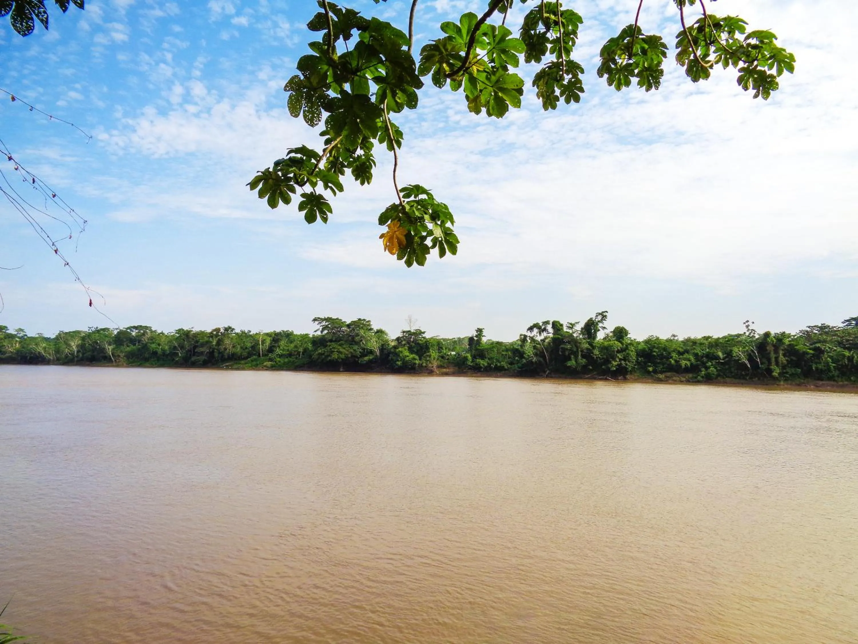 Tambopata River