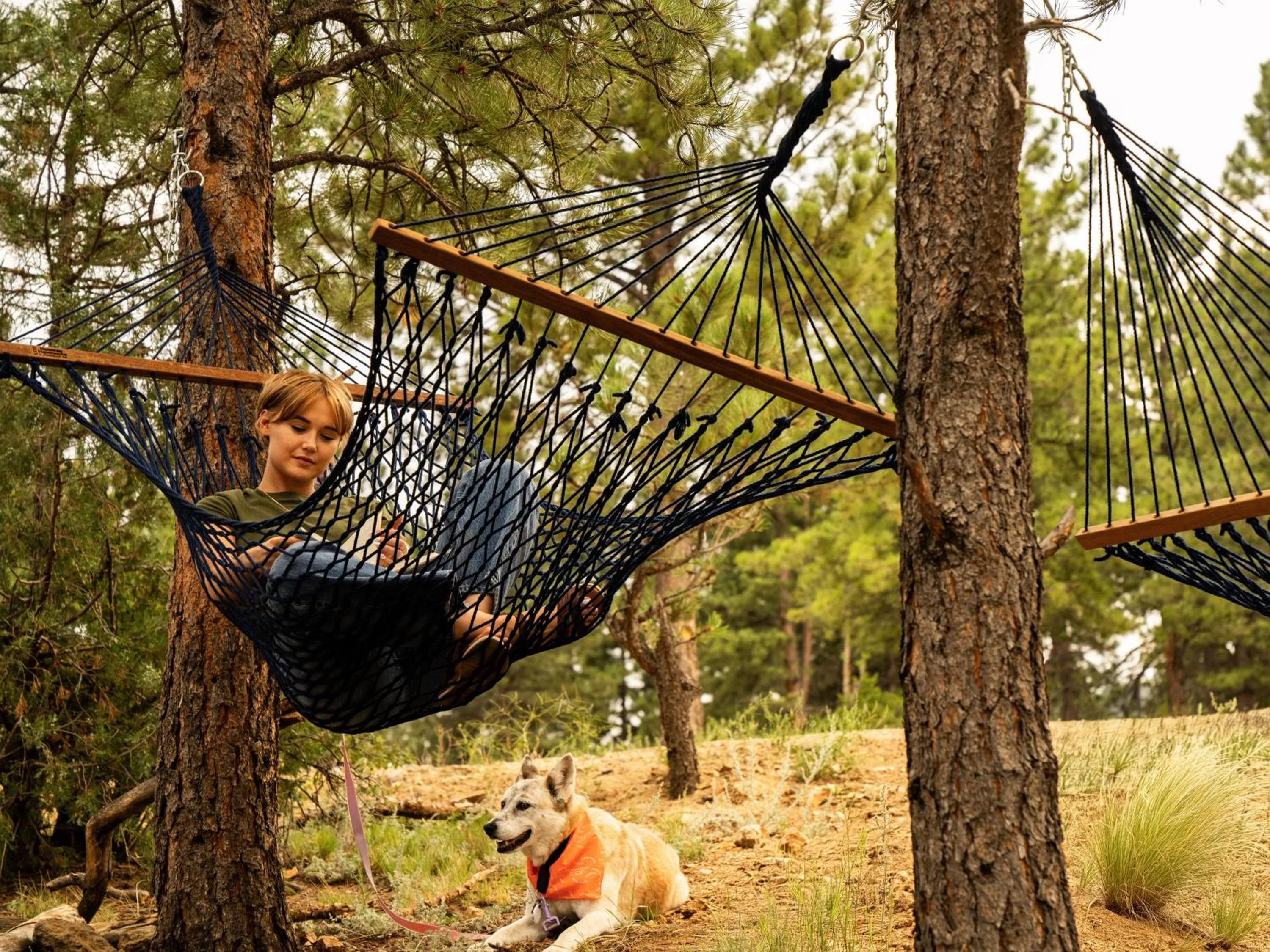 Natural landscape in Trailborn Rocky Mountains