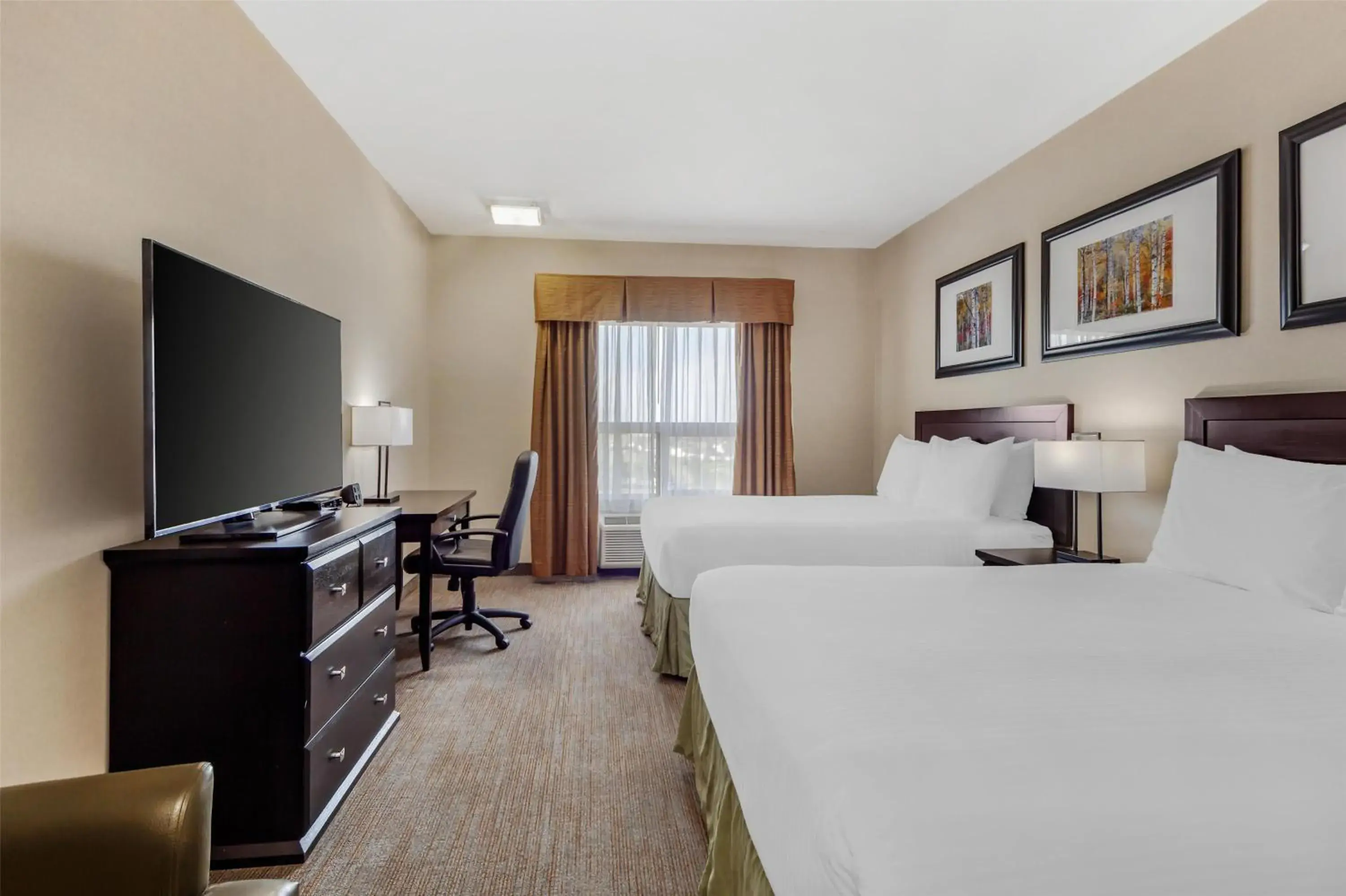 Bedroom, Bed in Best Western Wainwright Inn & Suites Bedroom, Bed in Best Western Wainwright Inn & Suites
