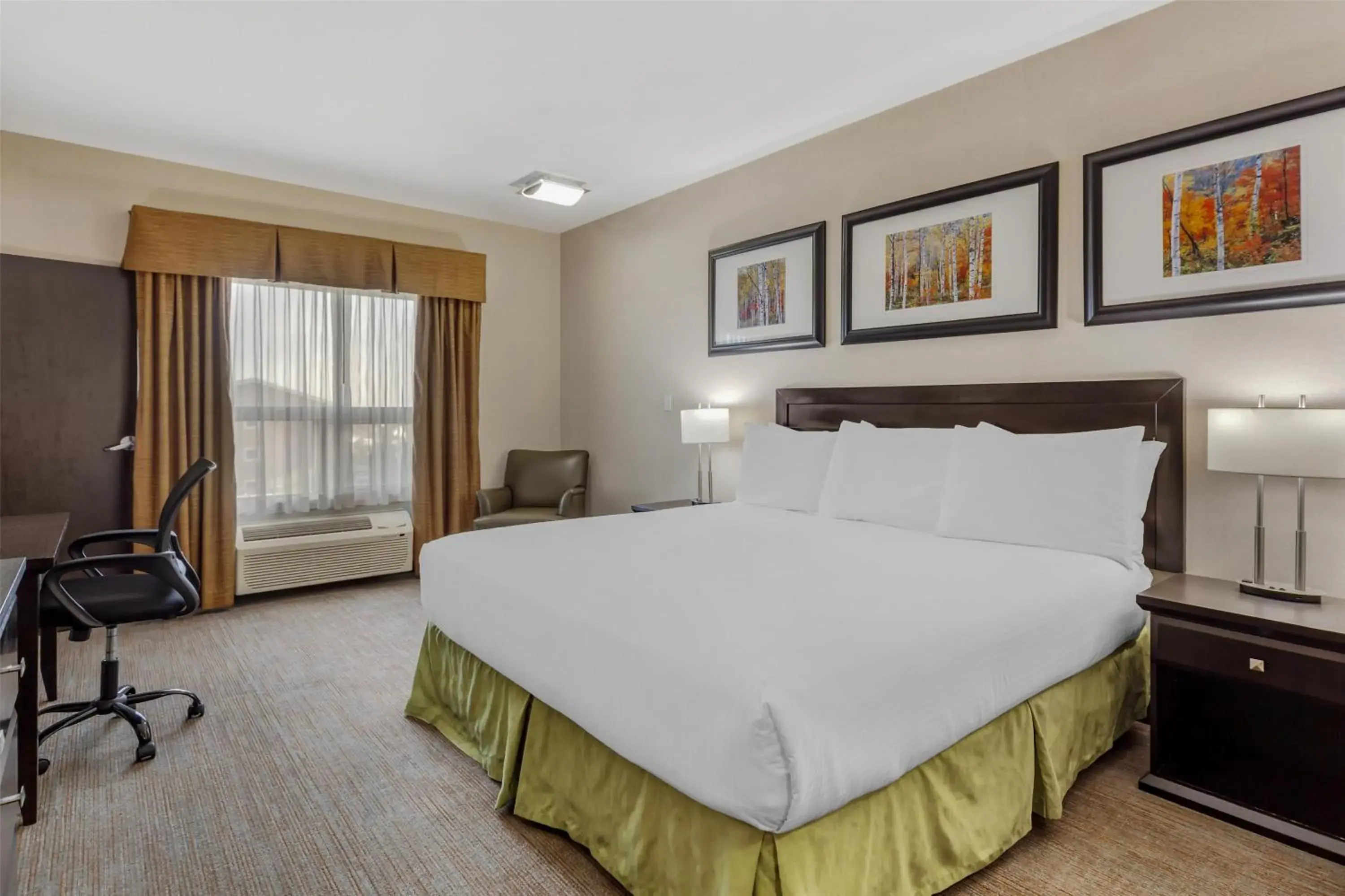 Bedroom, Bed in Best Western Wainwright Inn & Suites Bedroom, Bed in Best Western Wainwright Inn & Suites