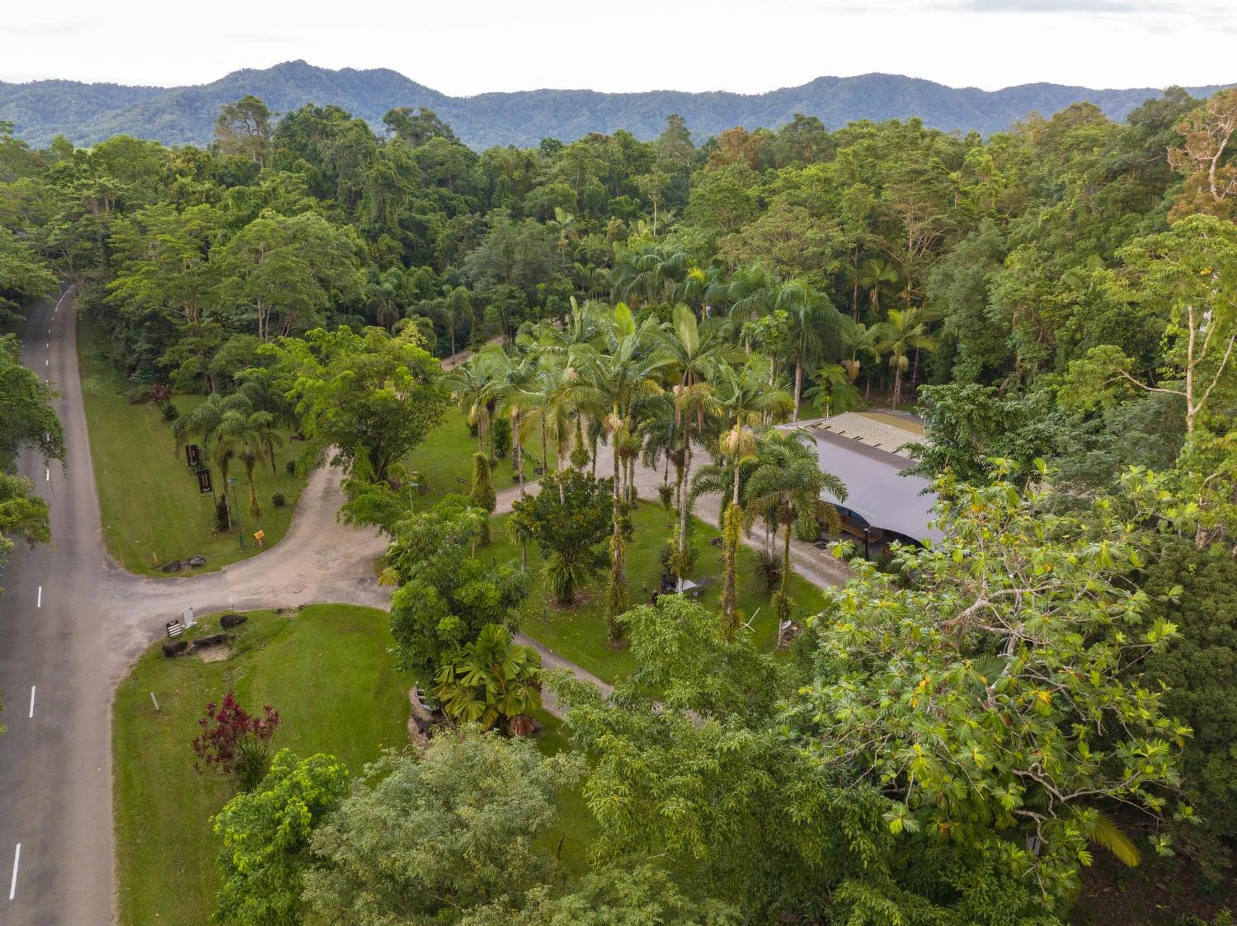 Daintree Siesta