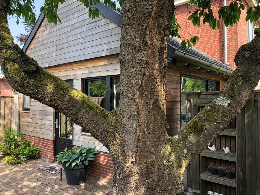 Garden view in B & B Chawe