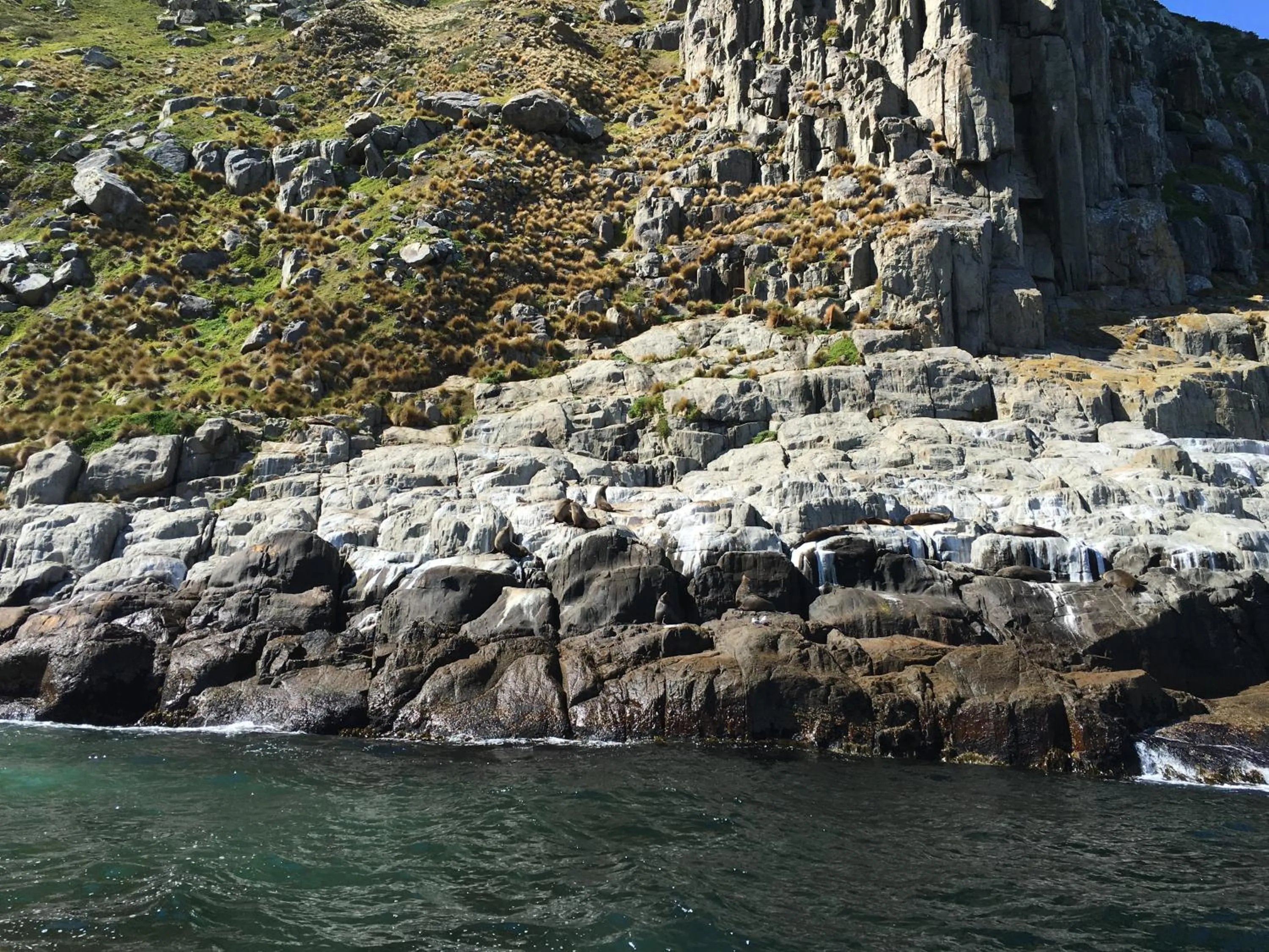 Natural landscape in Storm Bay B&B