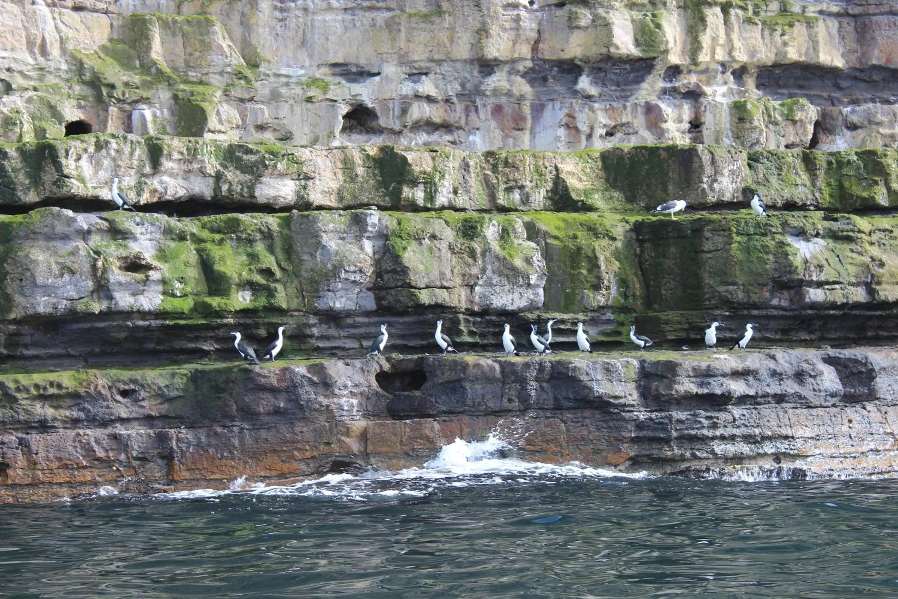 Natural landscape in Storm Bay B&B