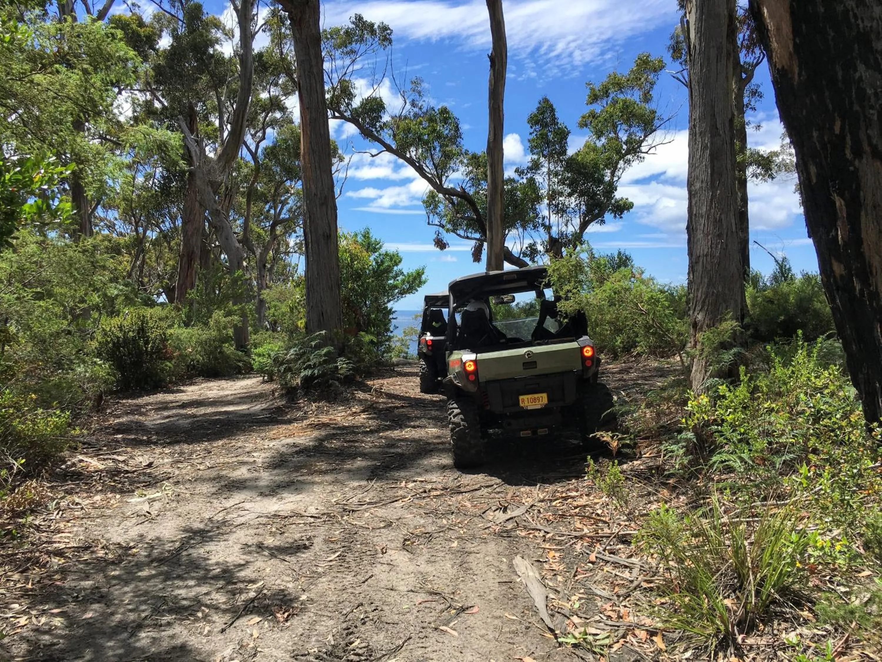 Natural landscape in Storm Bay B&B