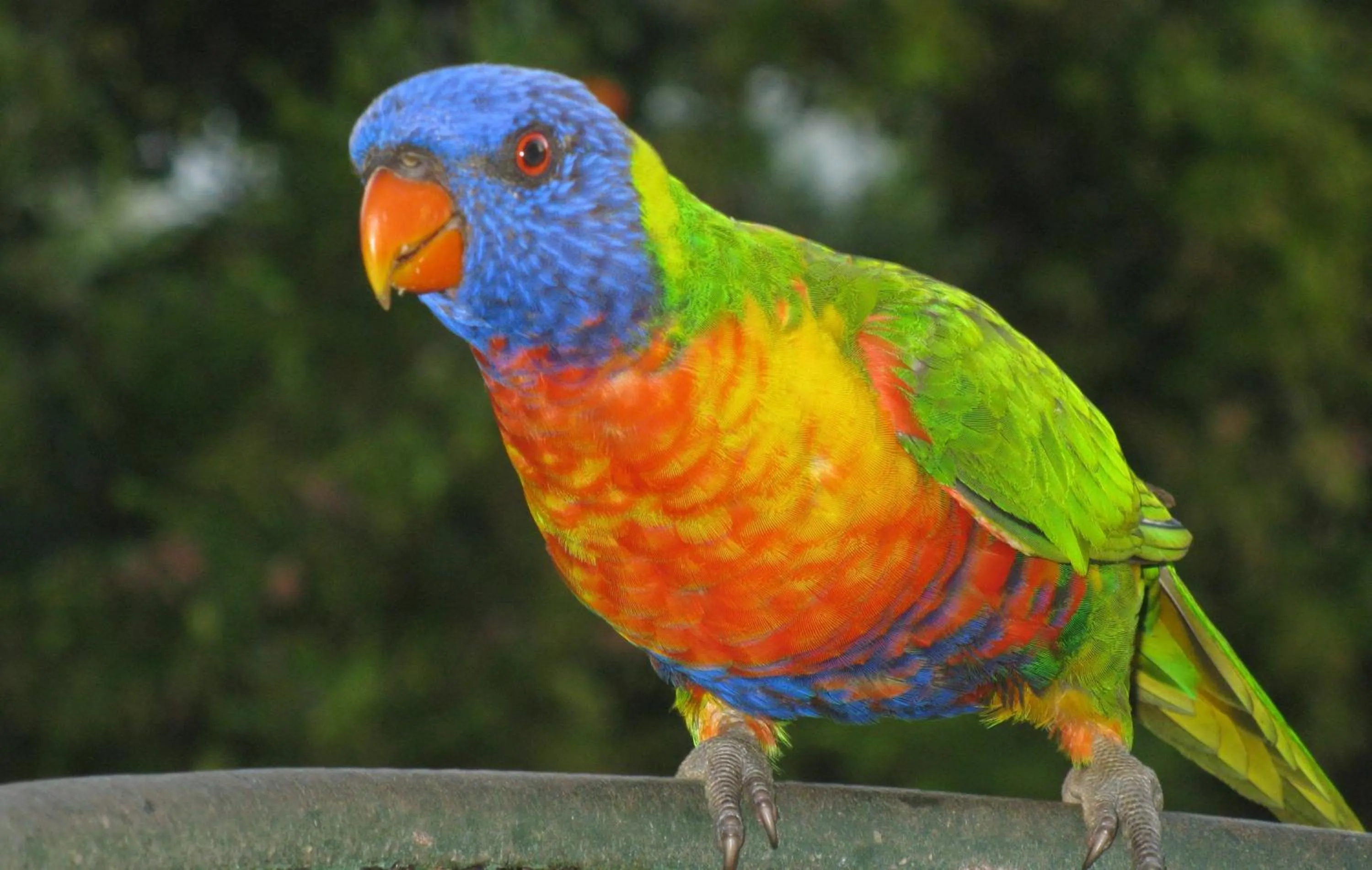 Other in Edgewater Holiday Park