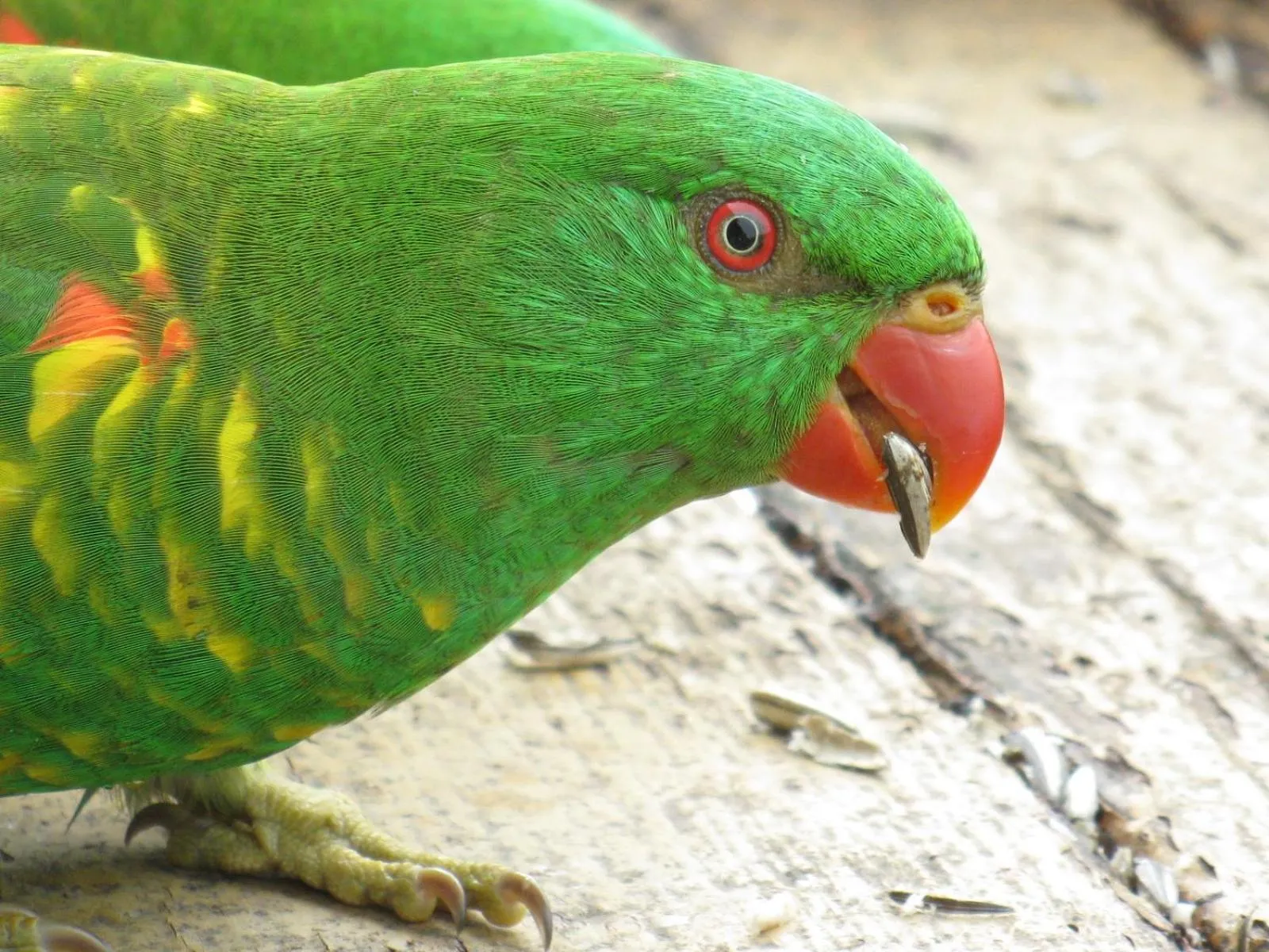 Other in Edgewater Holiday Park