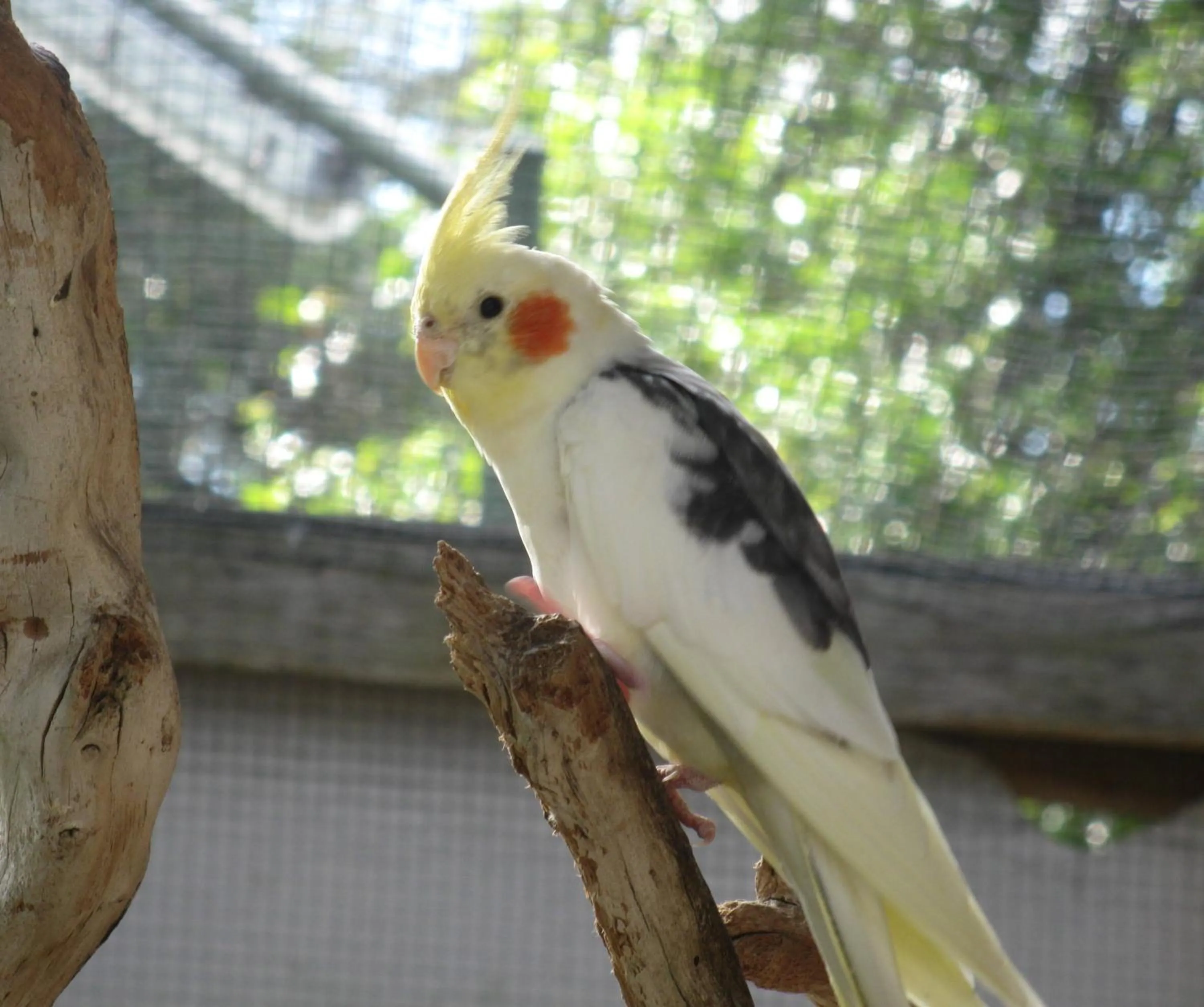 Other in Edgewater Holiday Park