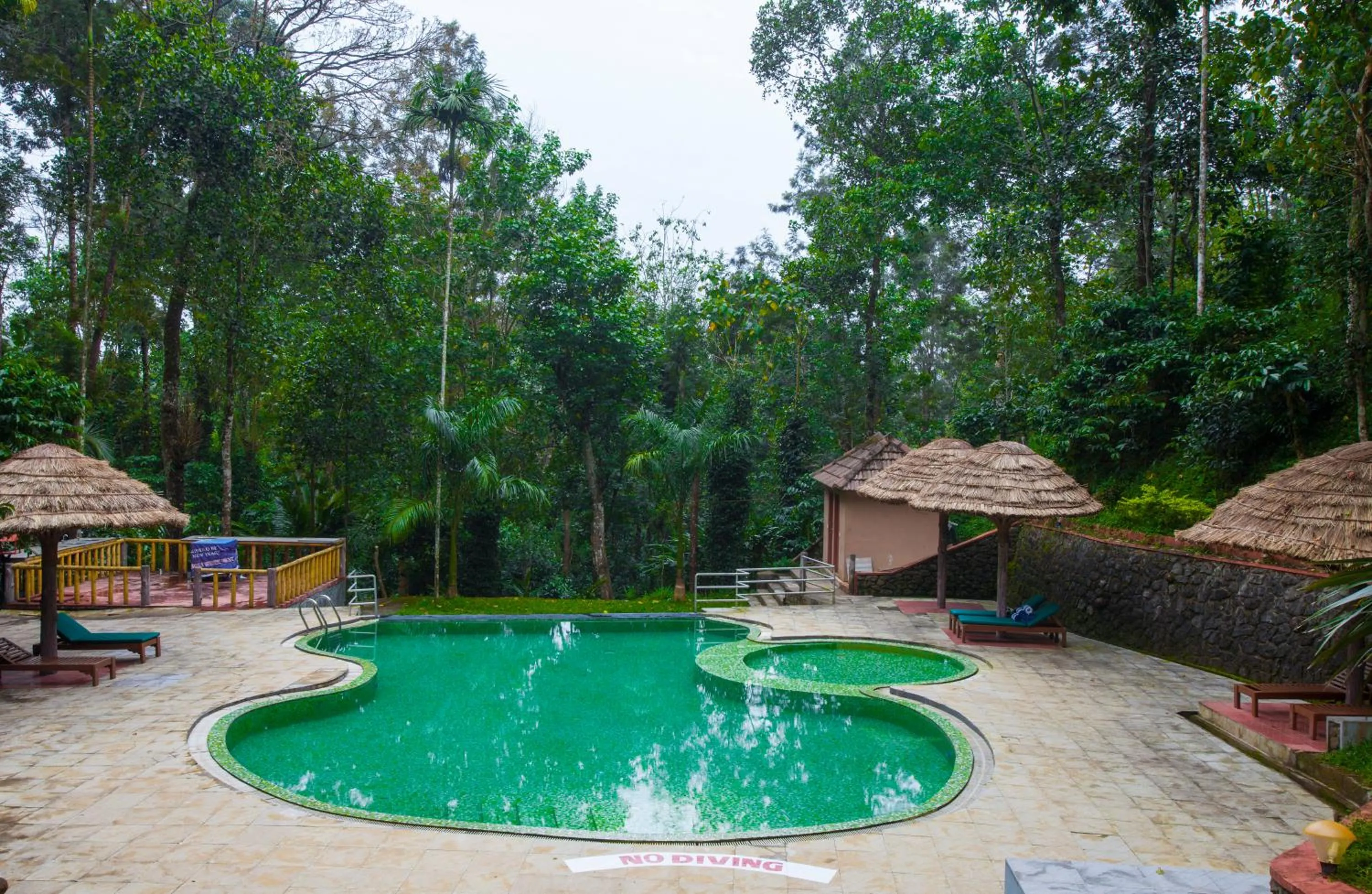 Swimming pool in Oxygen Resorts Thekkady