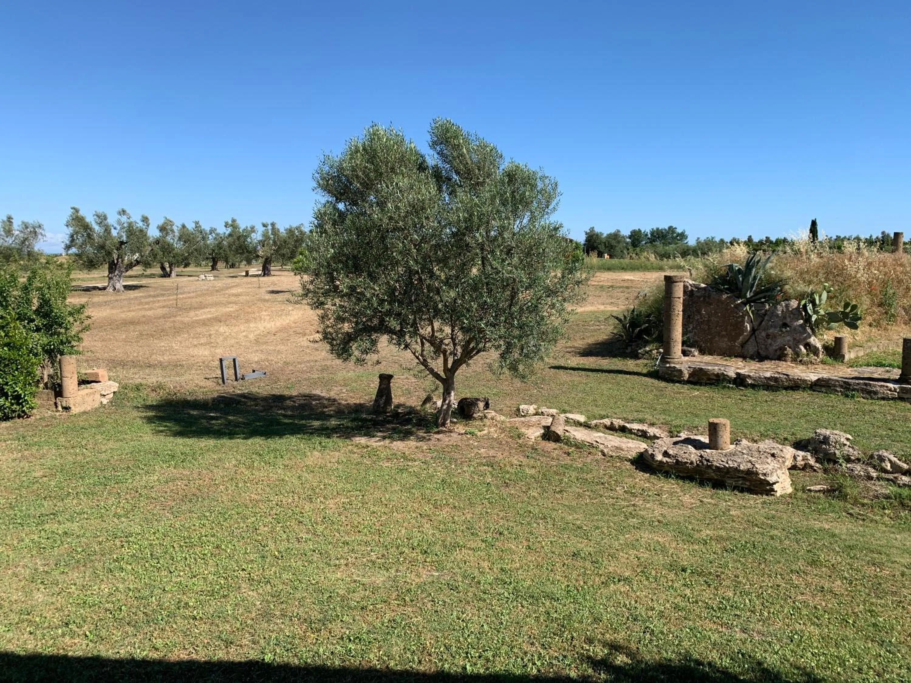 Garden in Resort Fonte Vulci