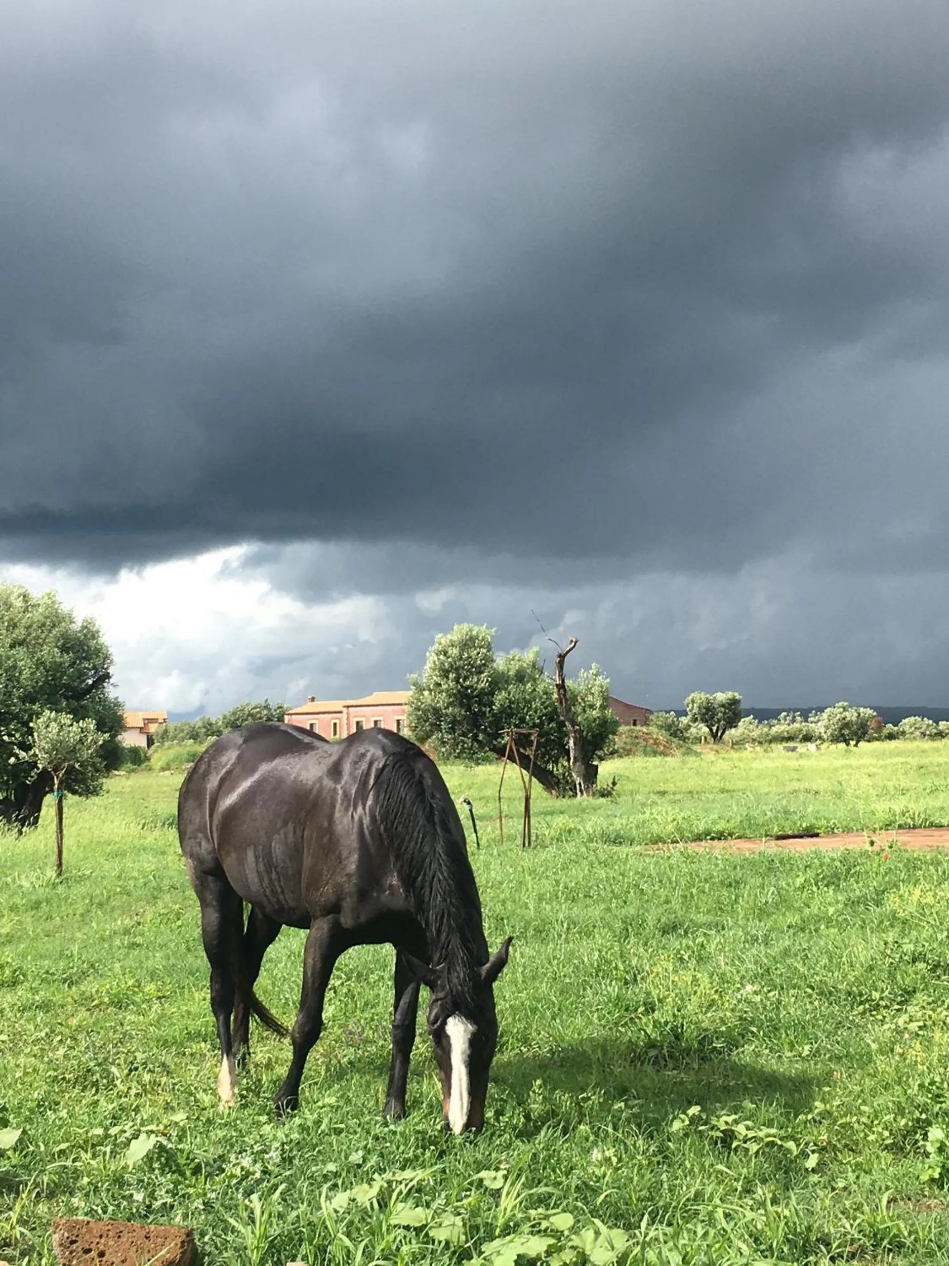 Natural landscape in Resort Fonte Vulci
