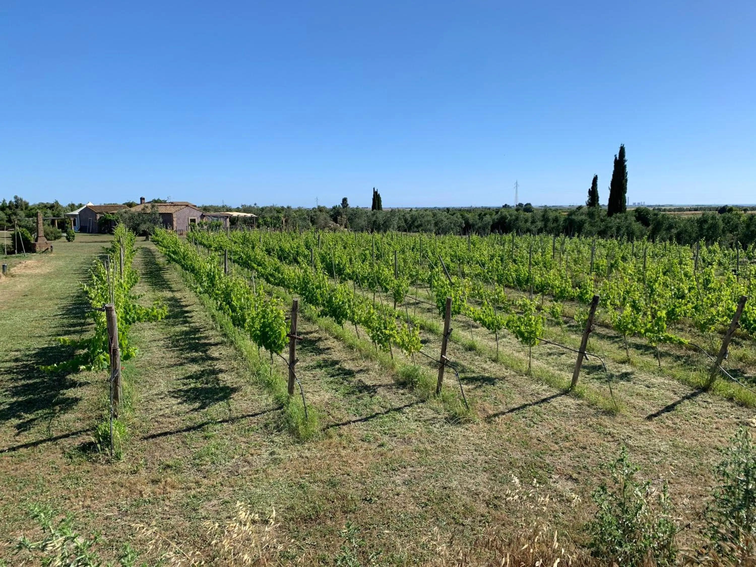 Garden in Resort Fonte Vulci