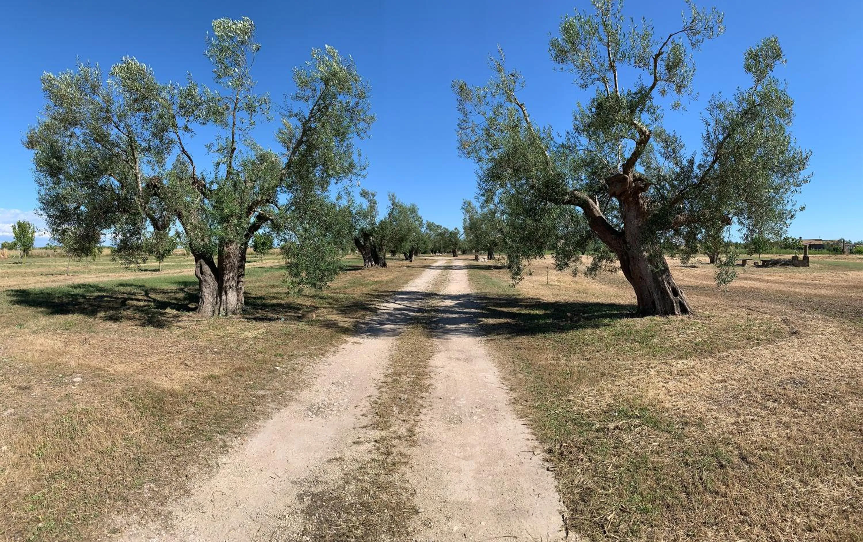 Garden in Resort Fonte Vulci