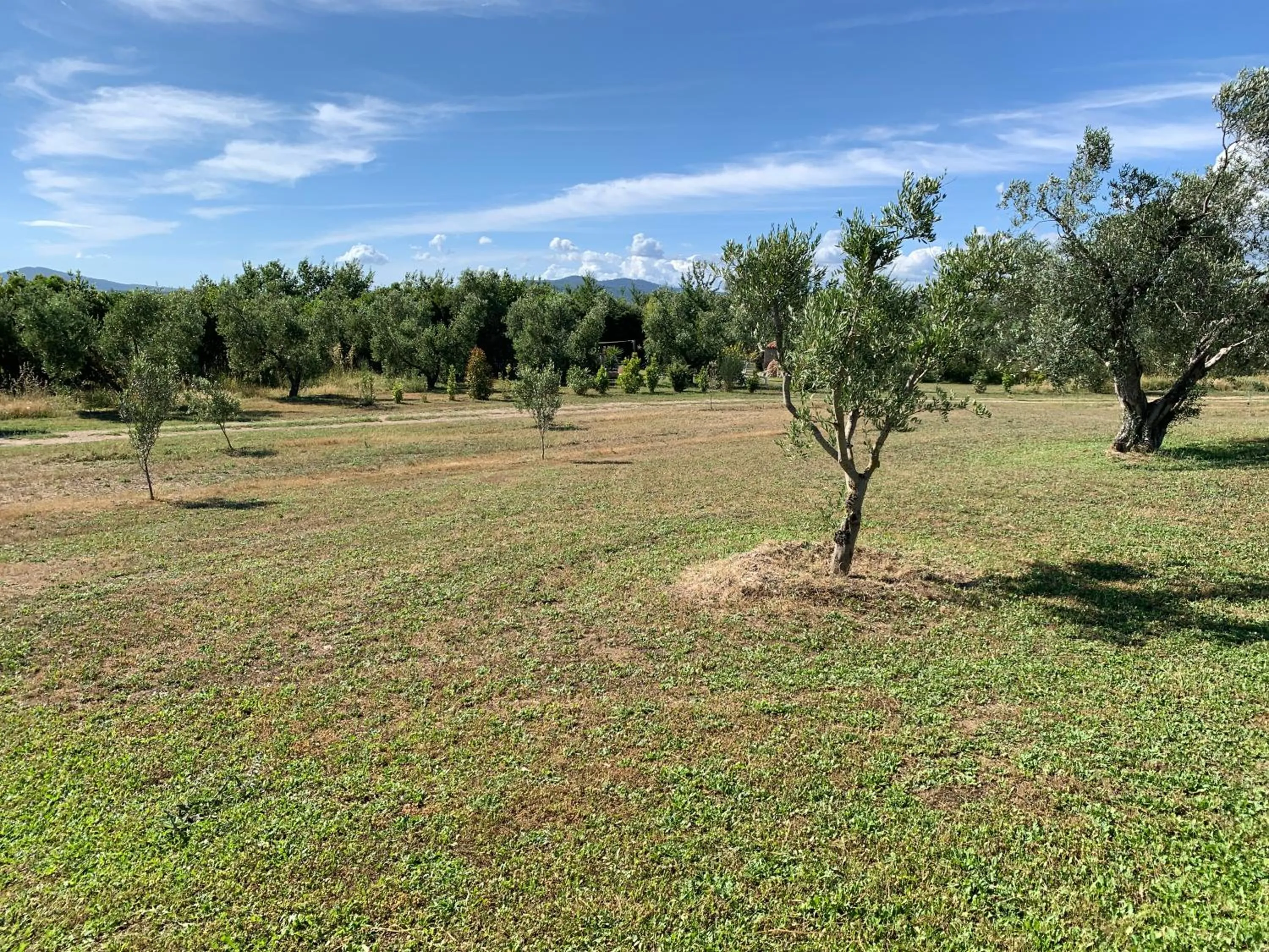 Garden in Resort Fonte Vulci