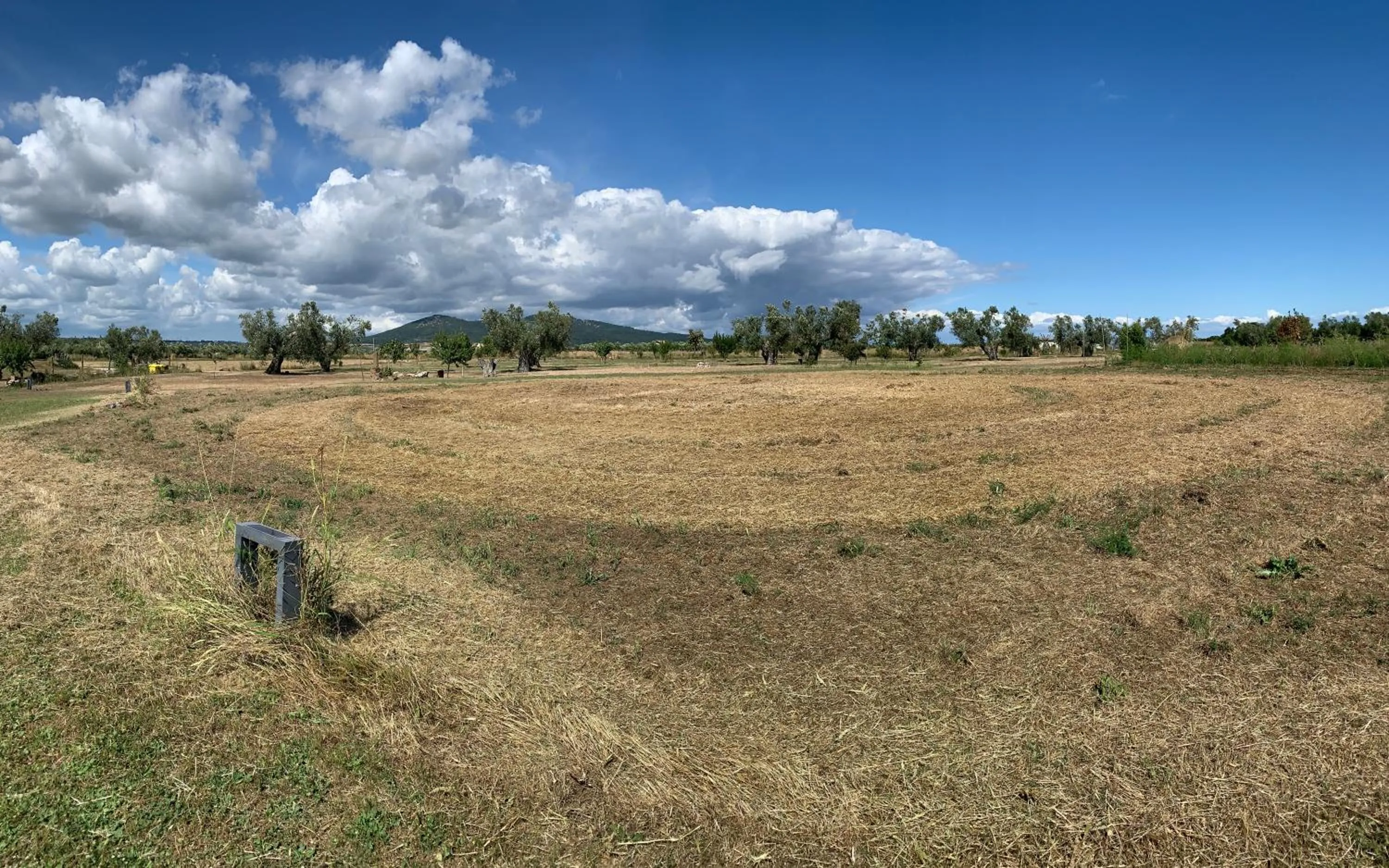 Natural landscape in Resort Fonte Vulci