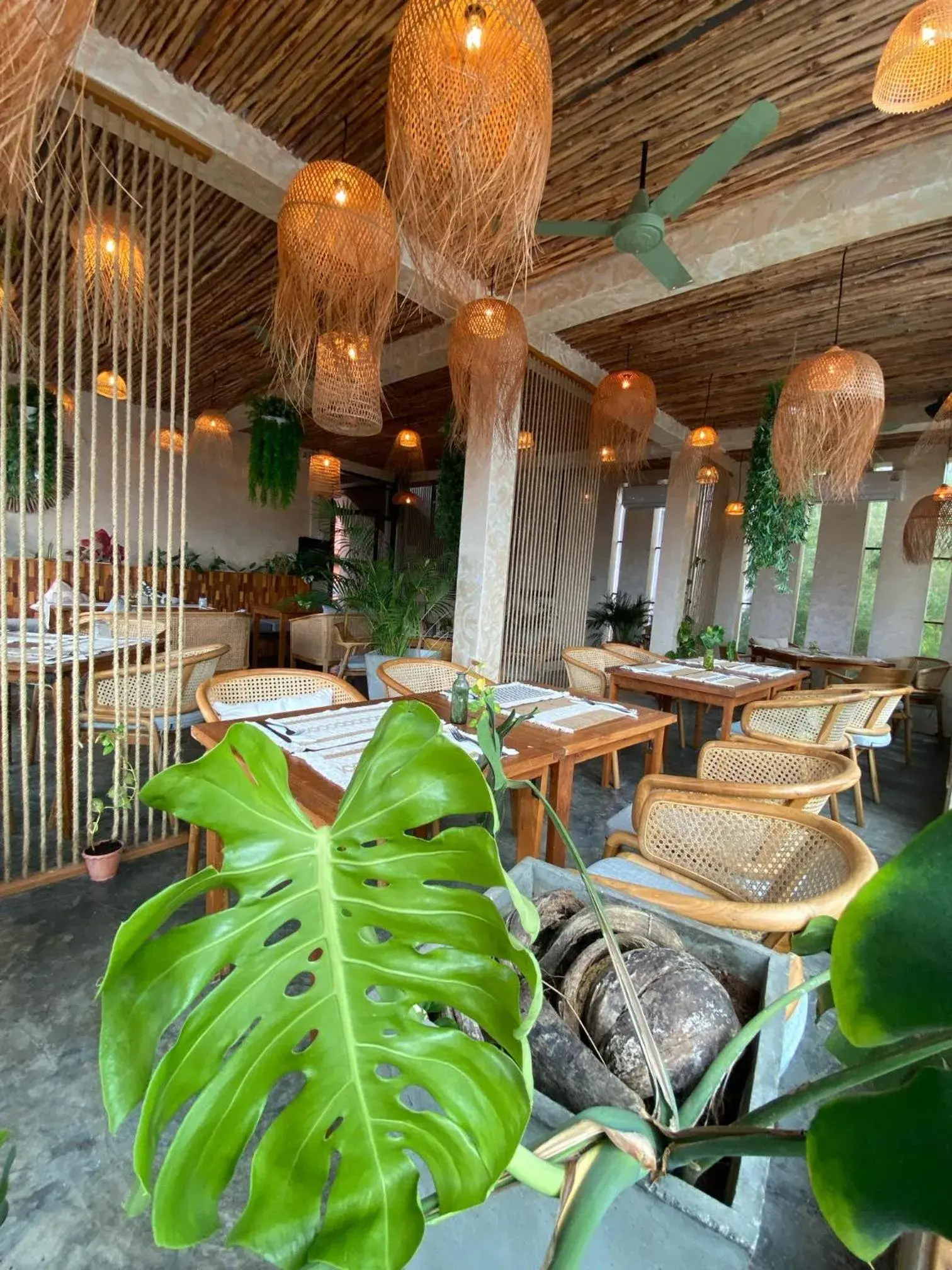 Restaurant/places to eat in Sairee Sairee Guesthouse Restaurant/places to eat in Sairee Sairee Guesthouse