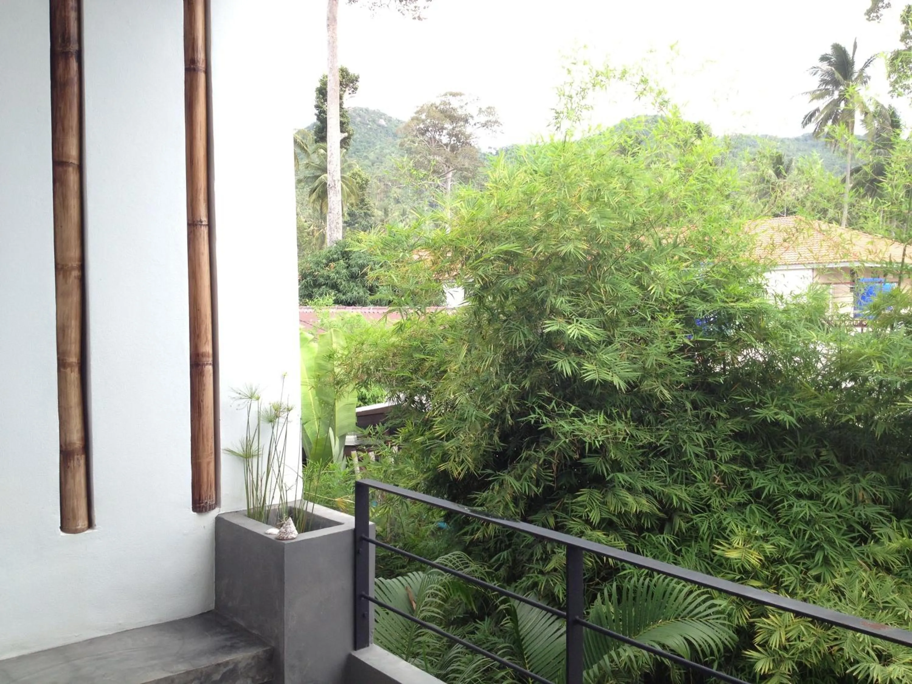 Balcony/Terrace in Sairee Sairee Guesthouse