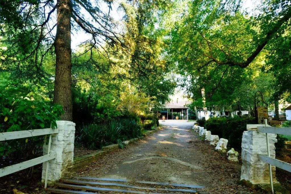 Garden view in Kings Lodge Hotel