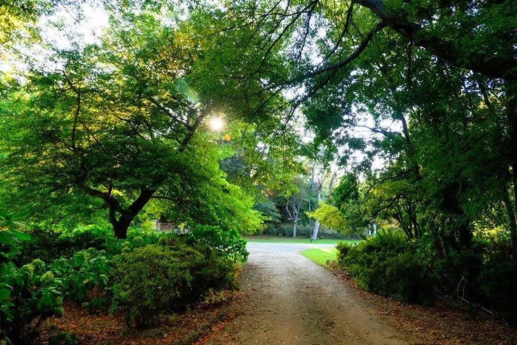 Garden view in Kings Lodge Hotel