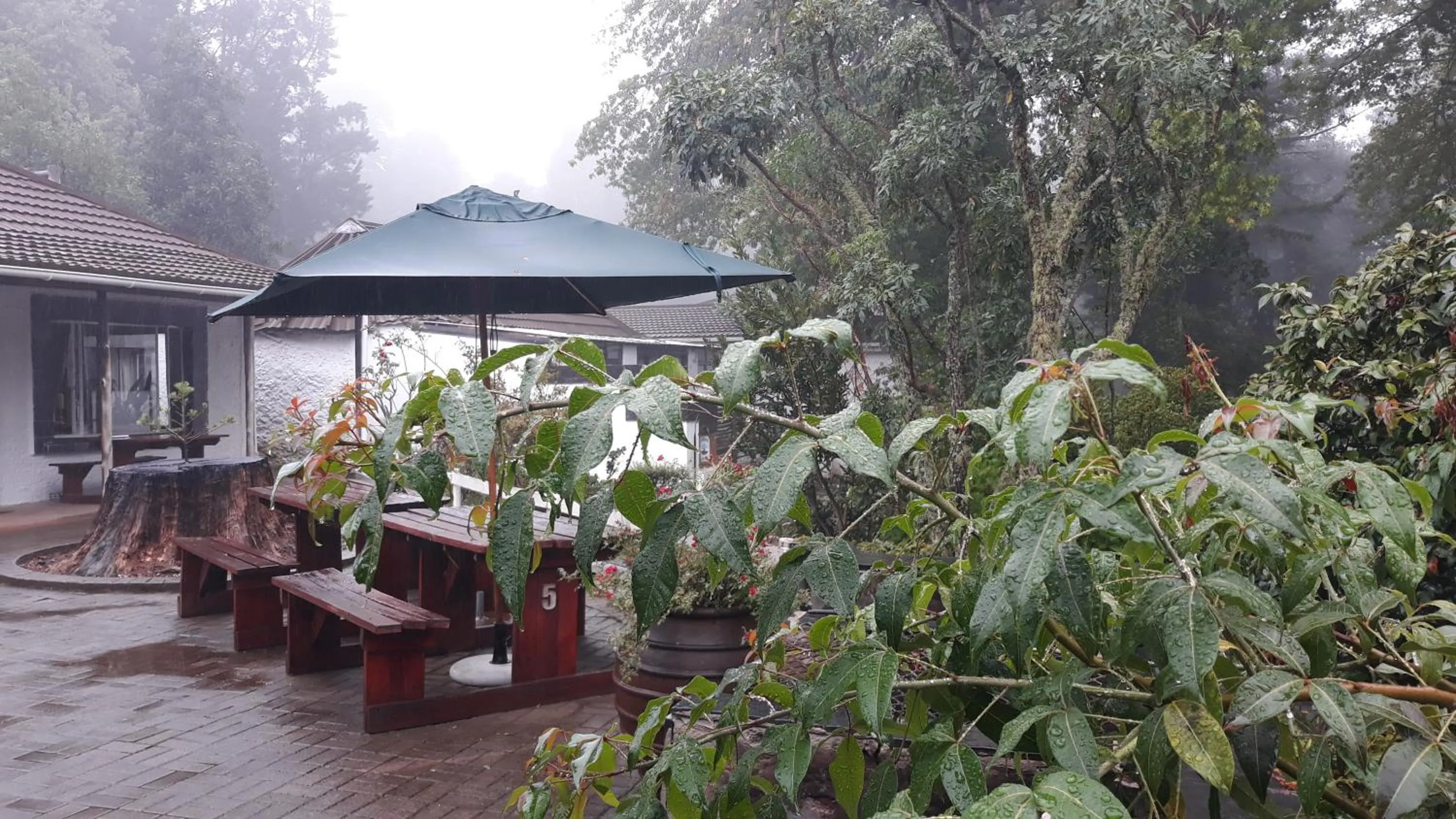 Patio in Kings Lodge Hotel