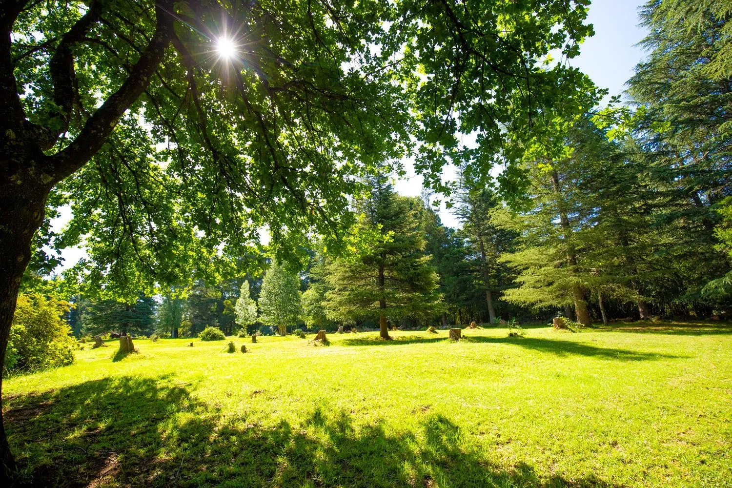 Natural landscape in Kings Lodge Hotel