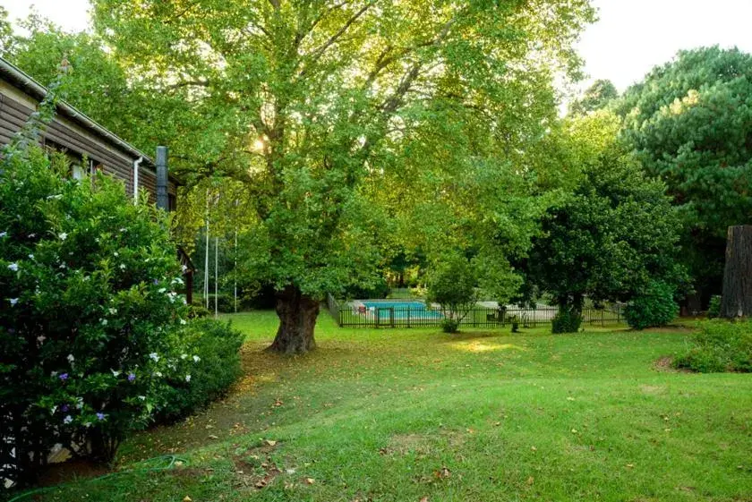 Double Room with Private Bathroom in Kings Lodge Hotel Double Room with Private Bathroom in Kings Lodge Hotel