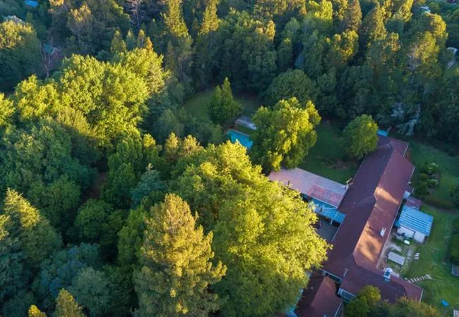 Garden in Kings Lodge Hotel