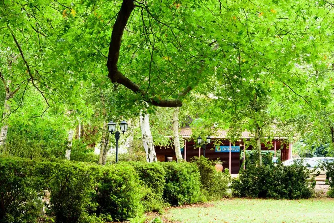 Cottage (4 Adults) in Kings Lodge Hotel Cottage (4 Adults) in Kings Lodge Hotel