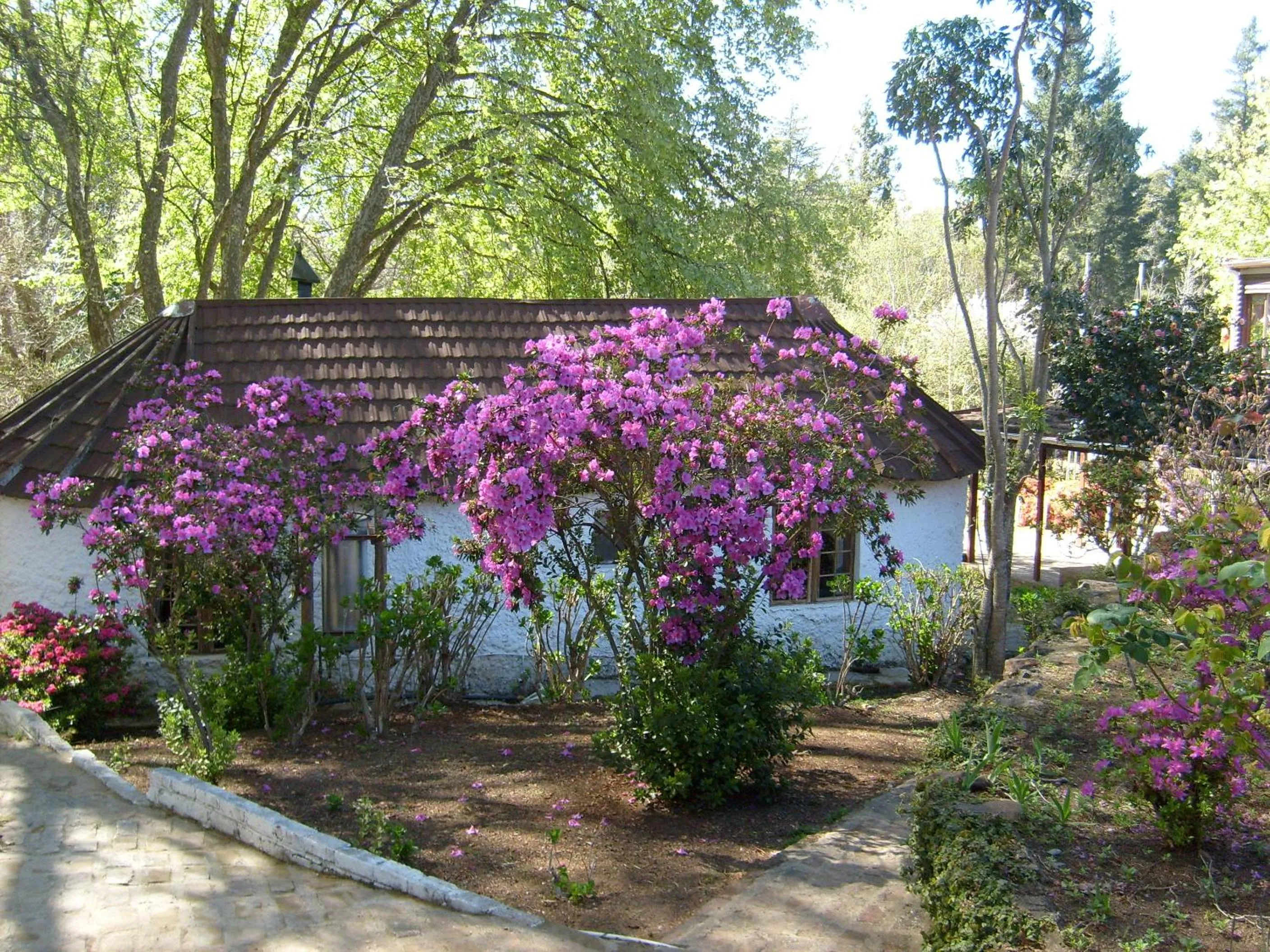 Property building in Kings Lodge Hotel