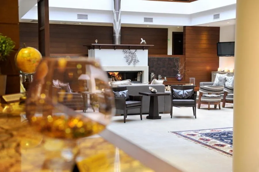 Lounge or bar in Agapi Luxury Hotel
