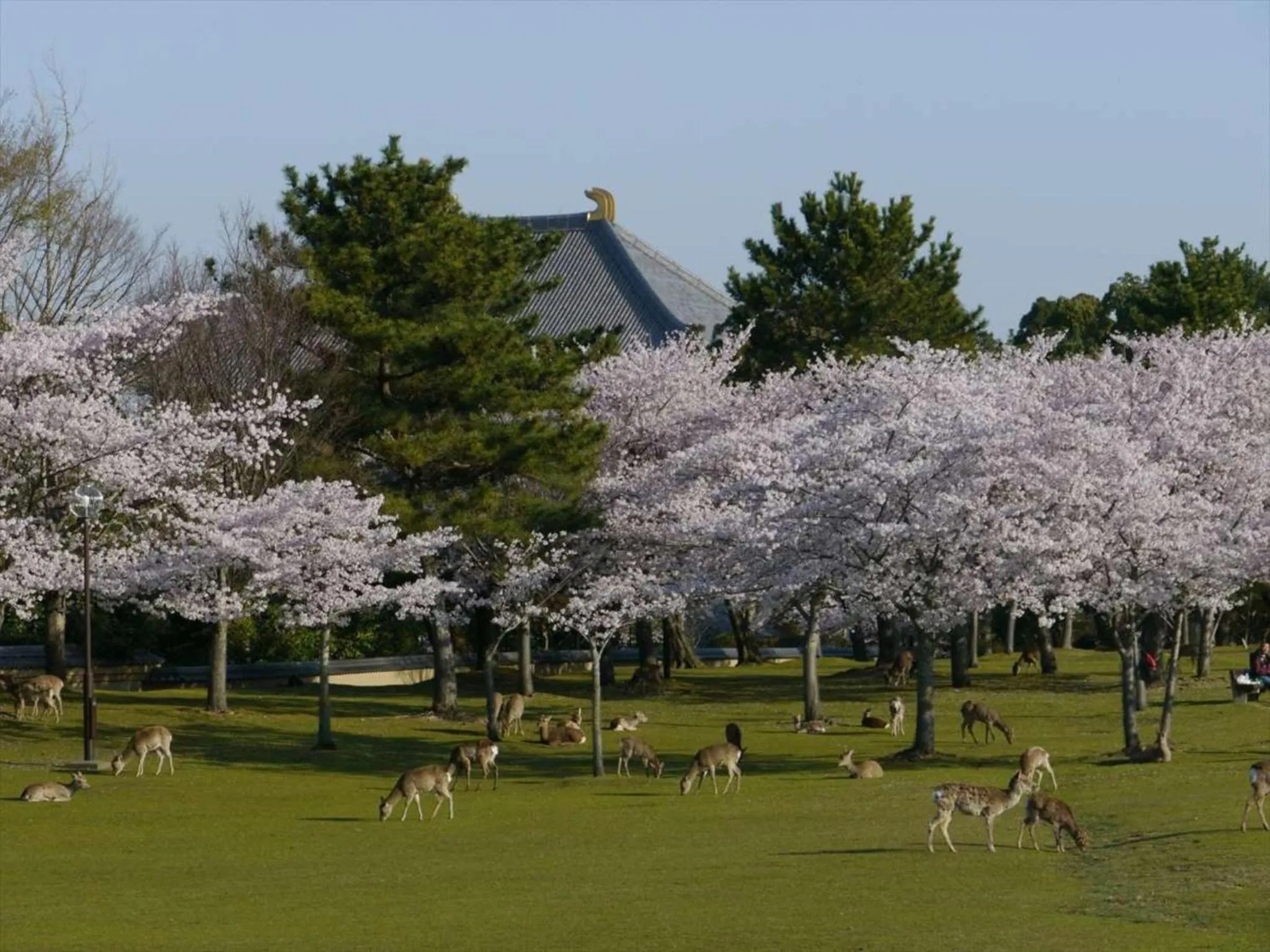 Nearby landmark in Hotel New Wakasa