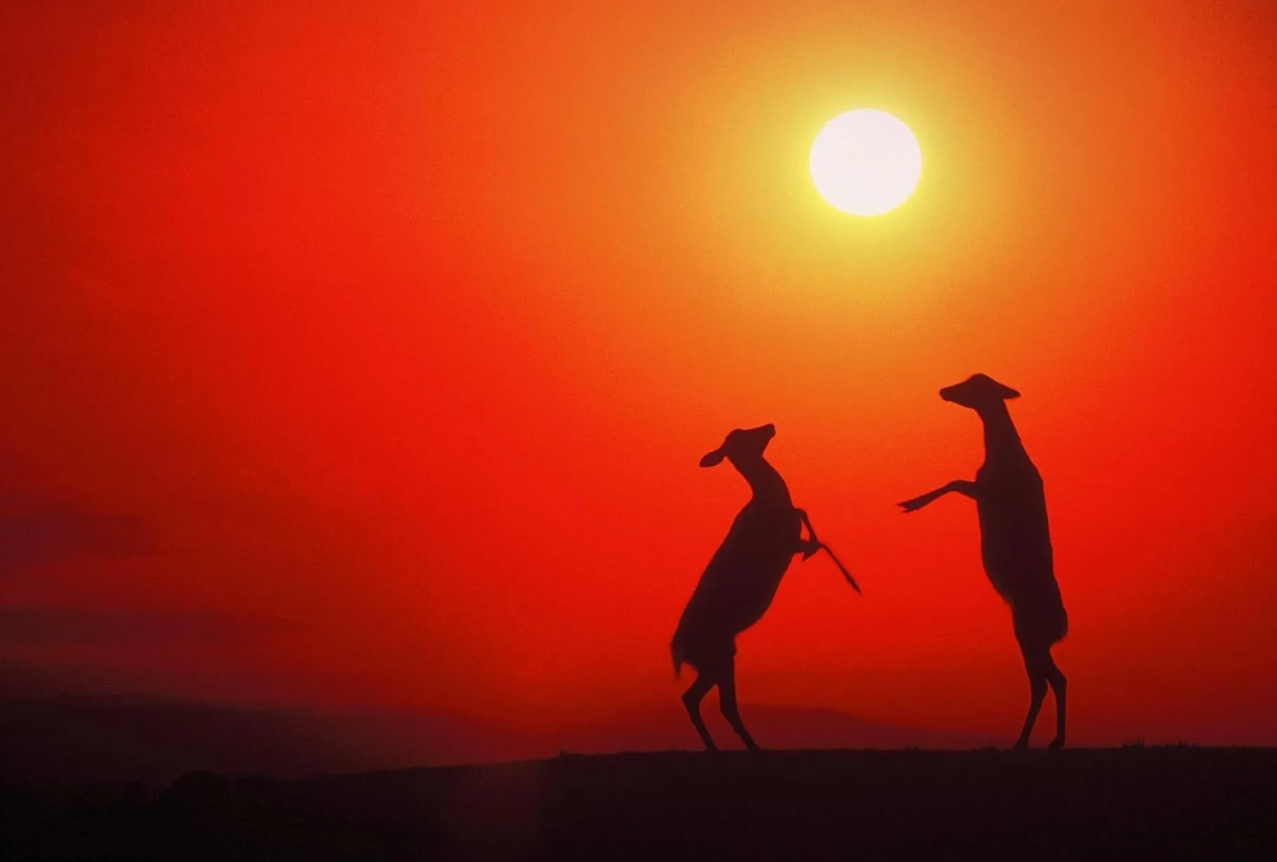 Sunset in Hotel New Wakasa