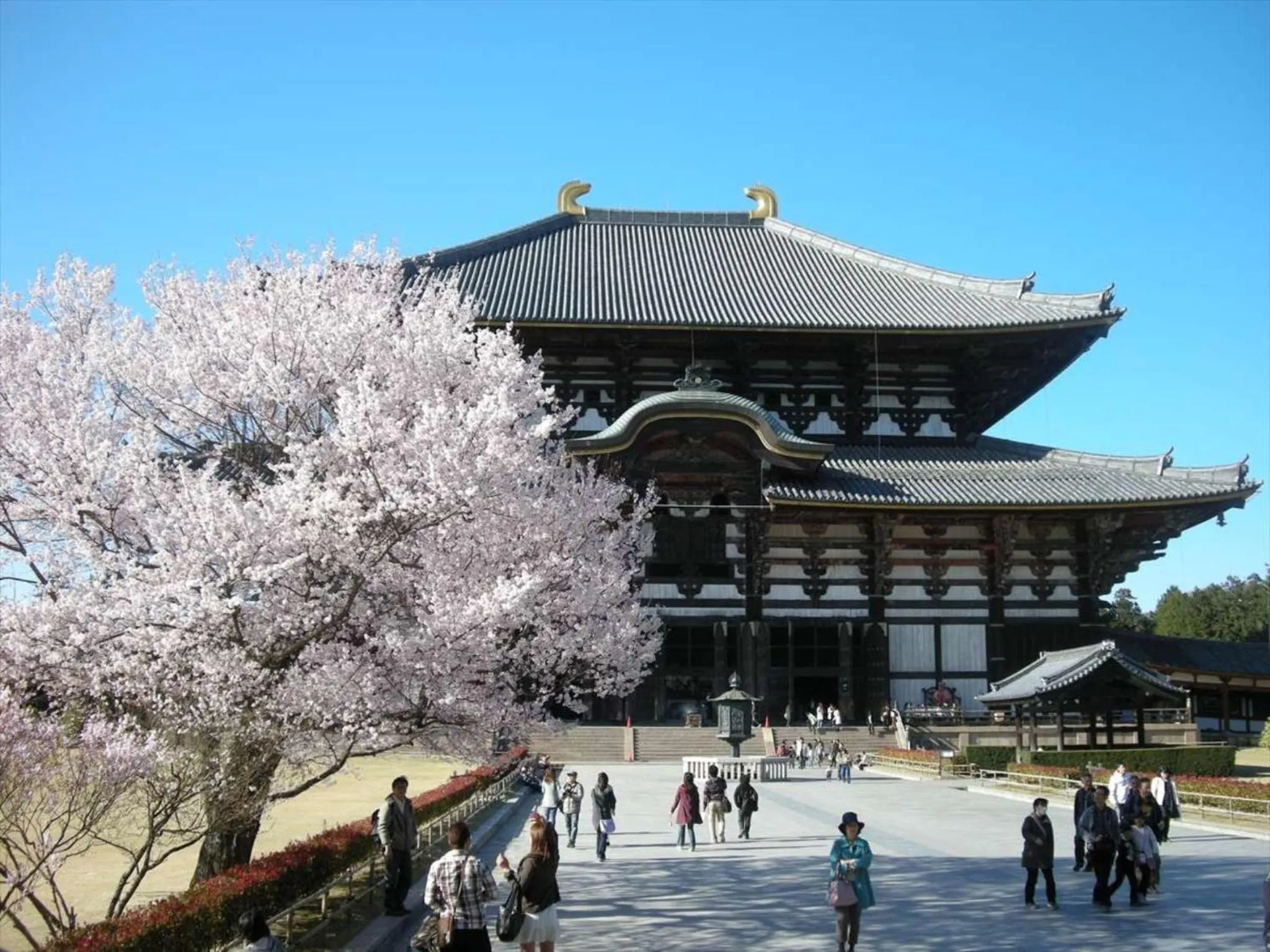 Nearby landmark in Hotel New Wakasa