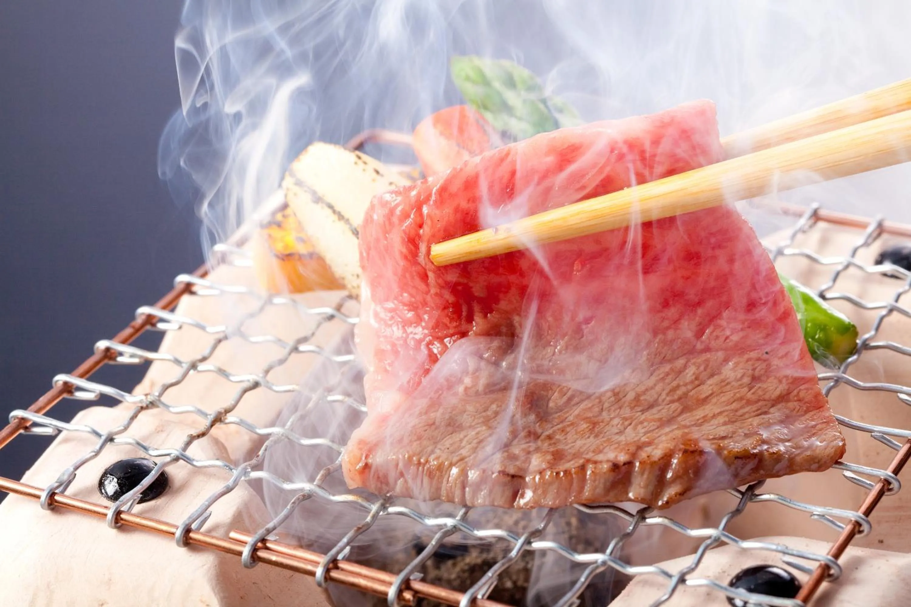BBQ facilities in Hotel New Wakasa