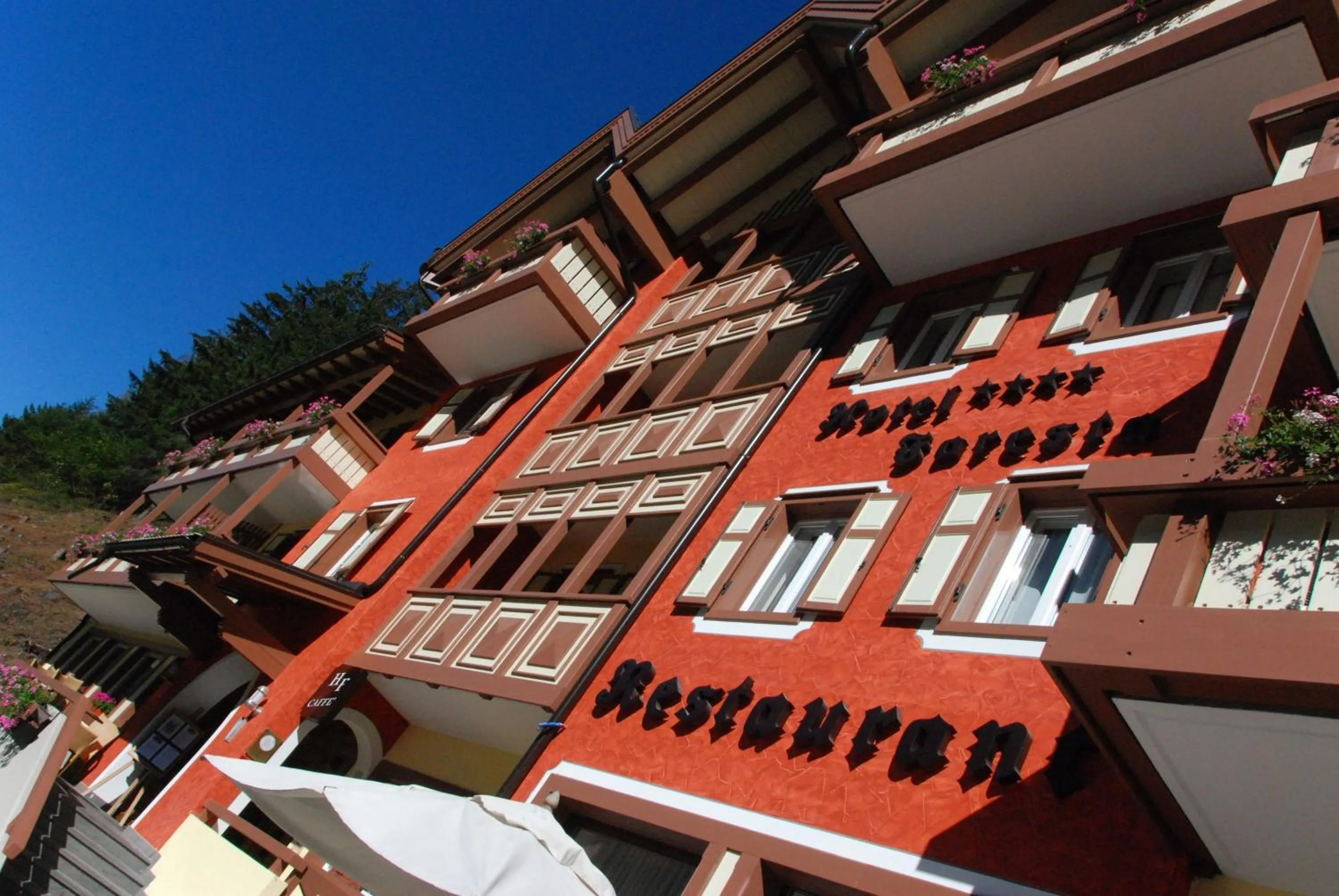 Facade/entrance in Hotel Foresta
