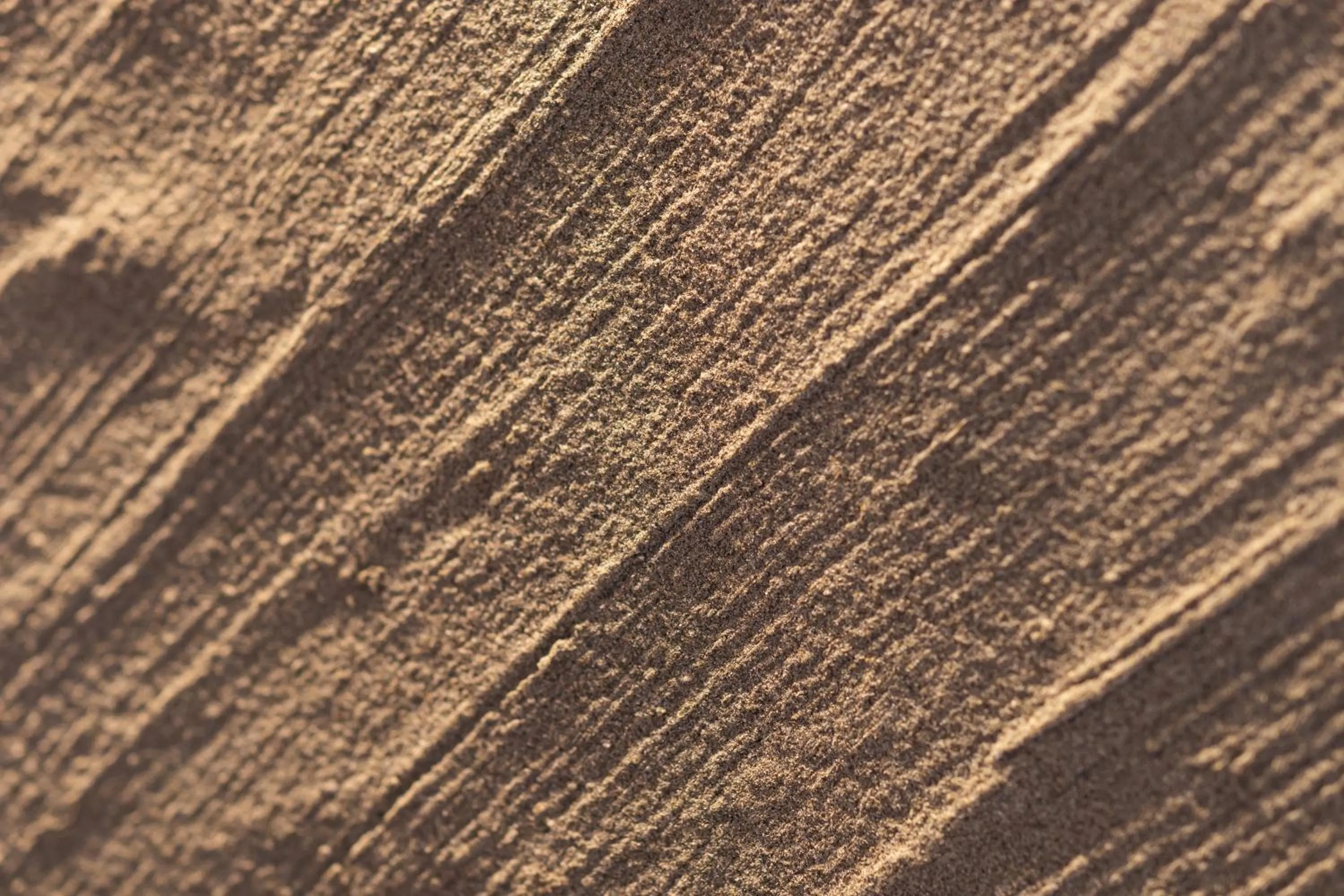 Photo of the whole room in Kameya Hotel