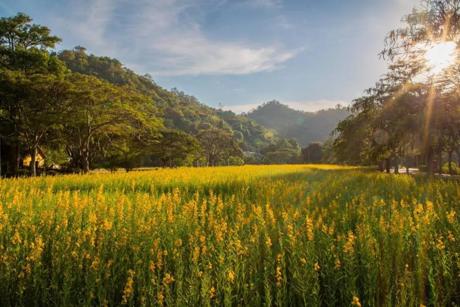 Property building in Diamond Hill Resort Property building in Diamond Hill Resort