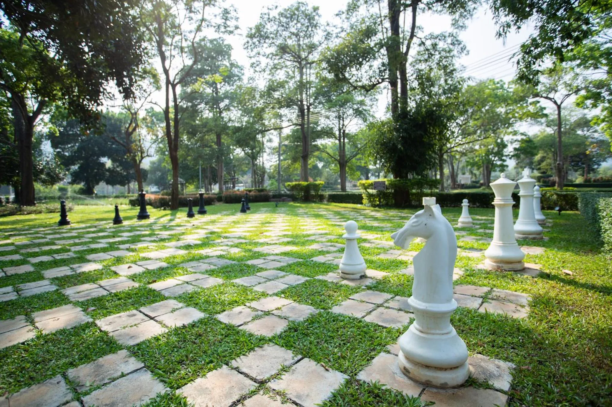 Garden in Diamond Hill Resort