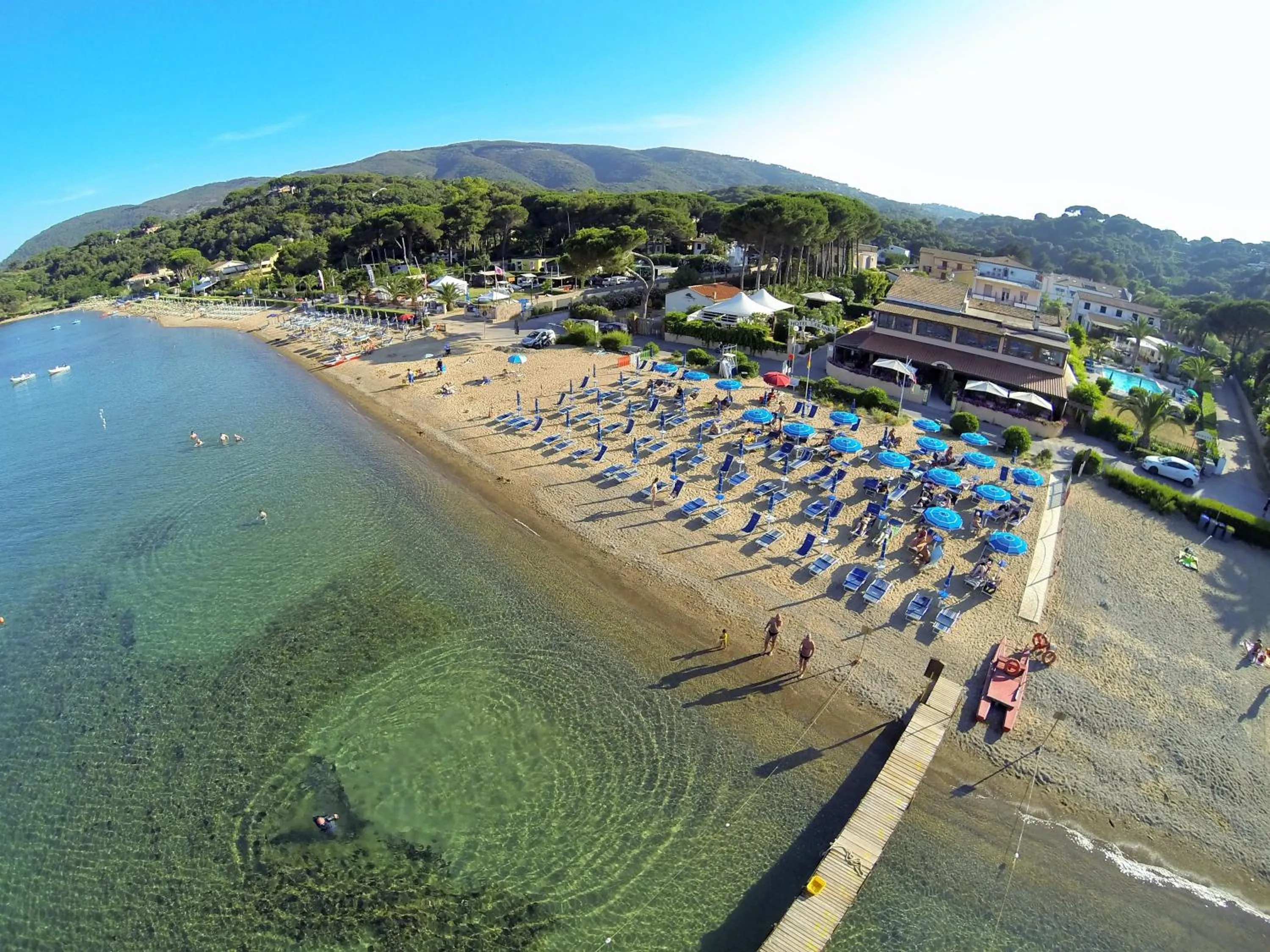Bird's eye view in Frank's Hotel