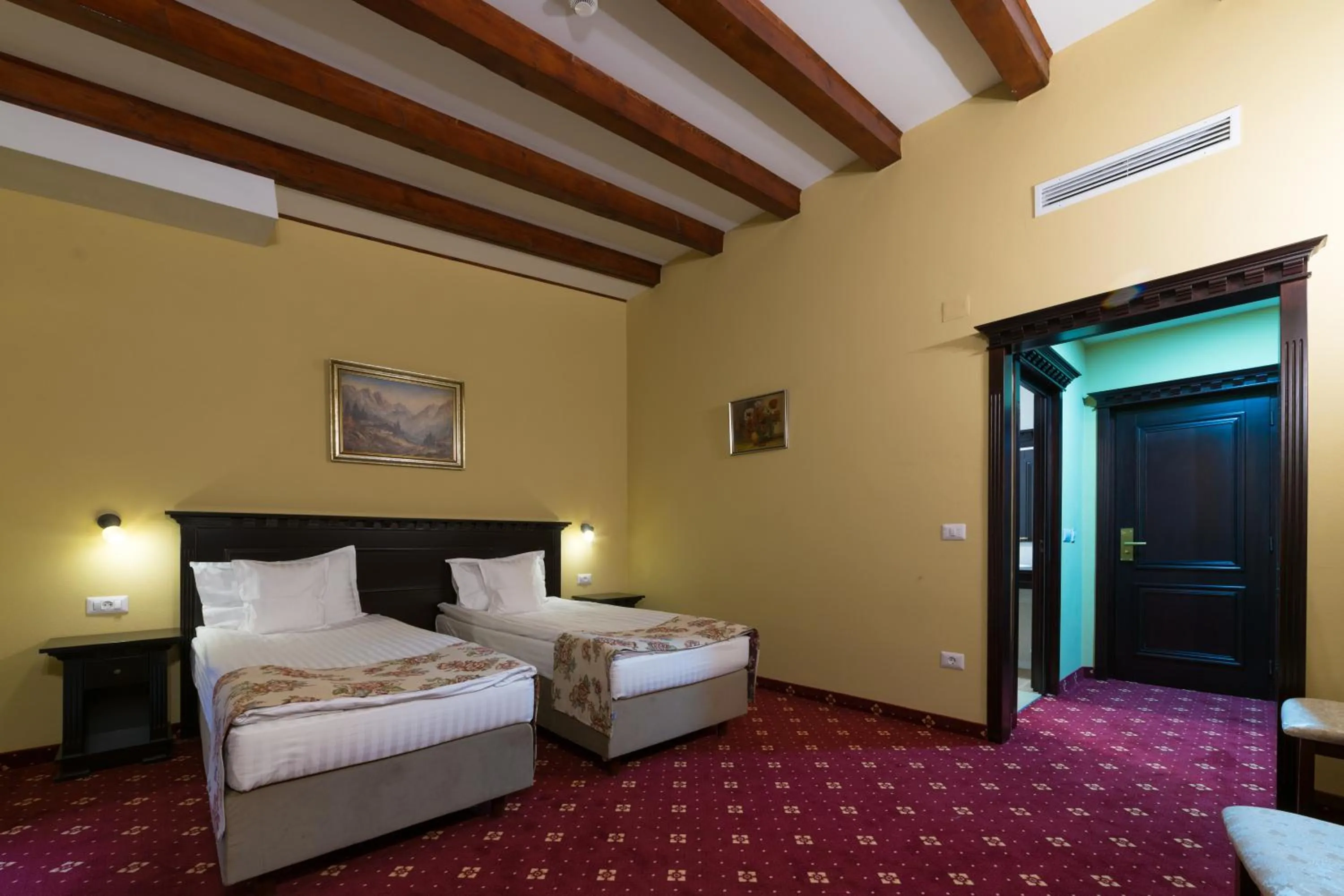 Twin Room - single occupancy in Vila Steaua Nordului