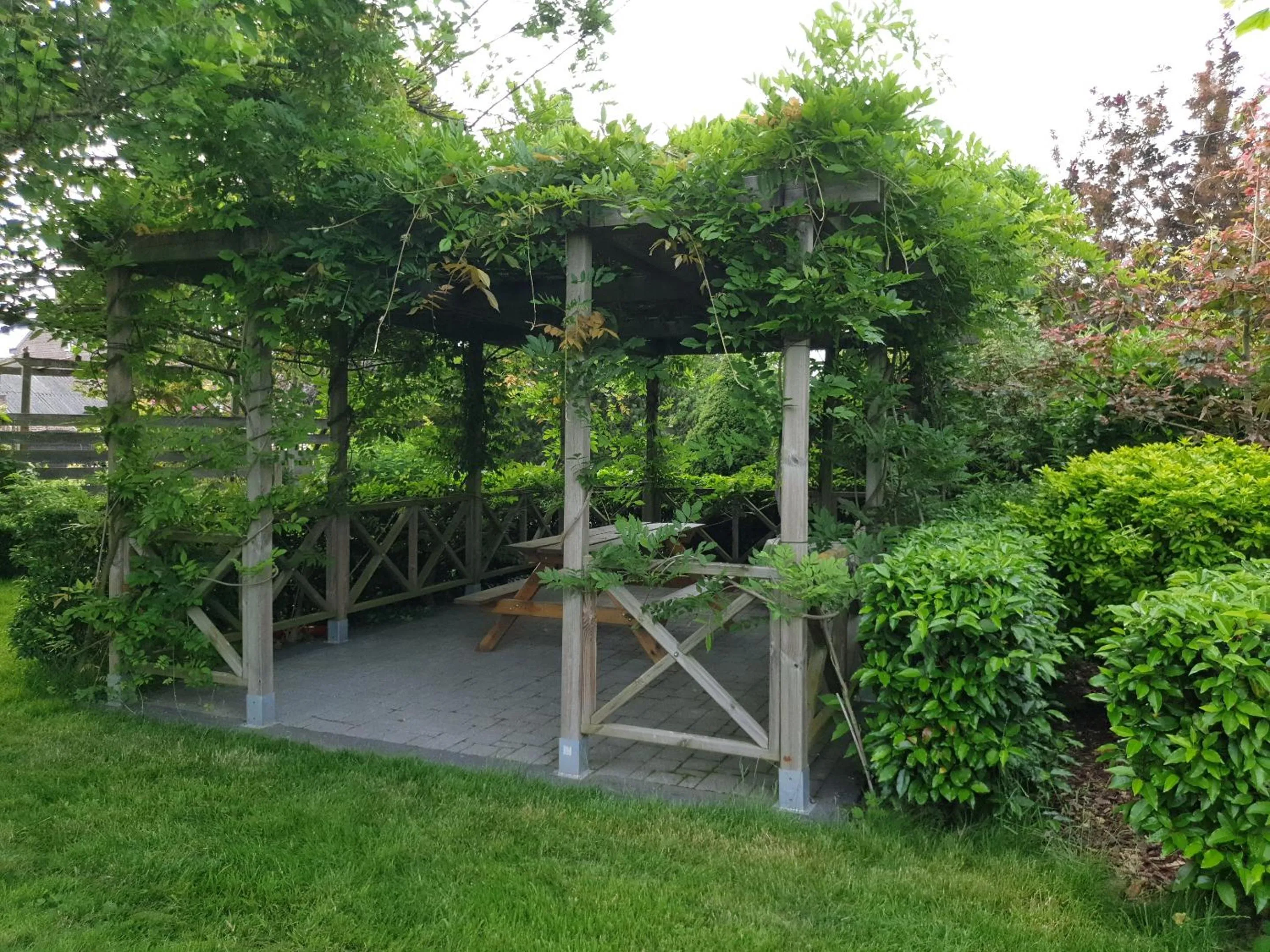 Garden in B&B Secret Garden Adults only