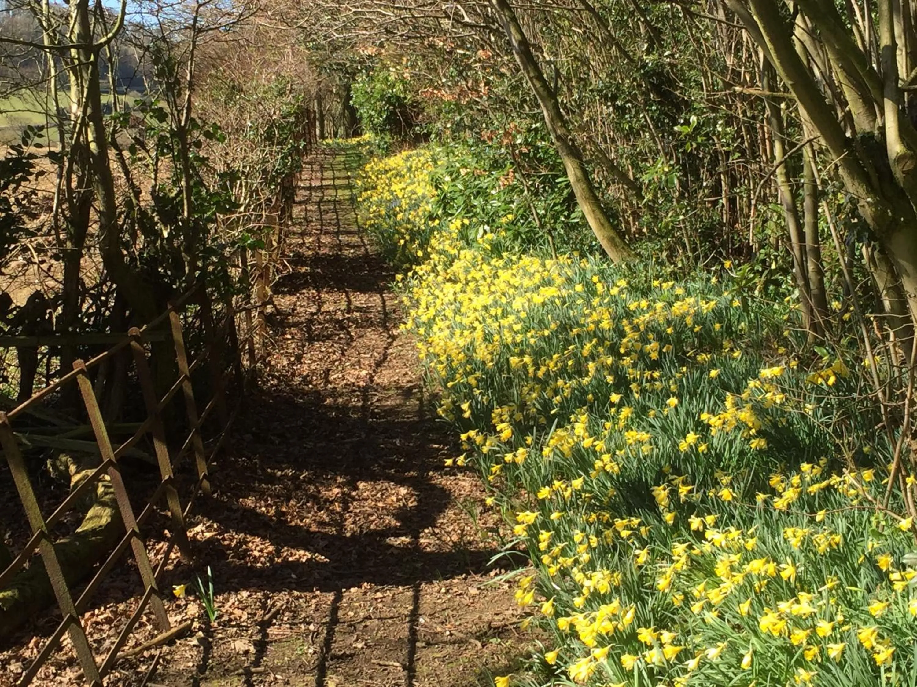 Garden in The Wrea Head Hall Country House Hotel & Restaurant