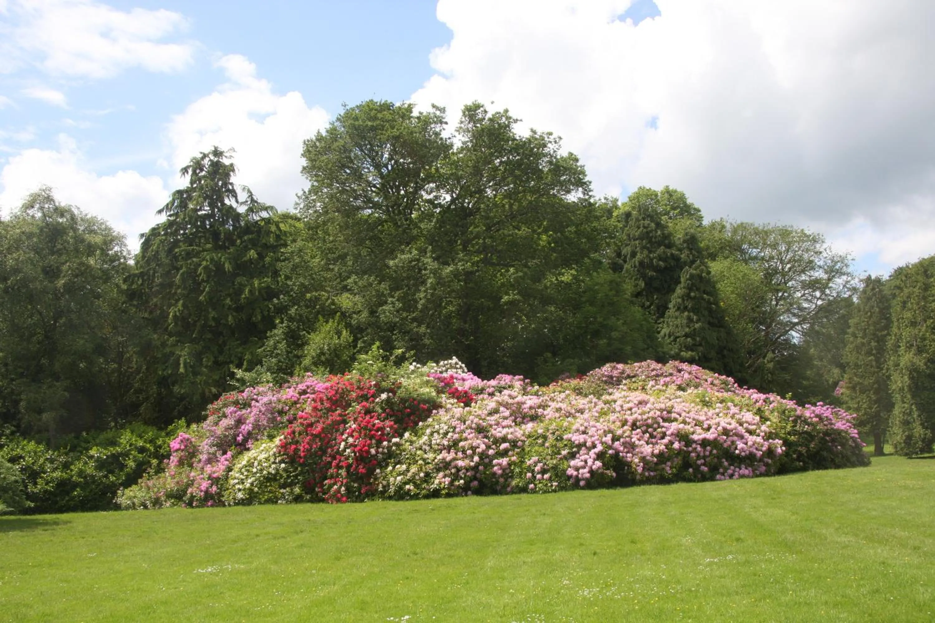 Garden in The Wrea Head Hall Country House Hotel & Restaurant