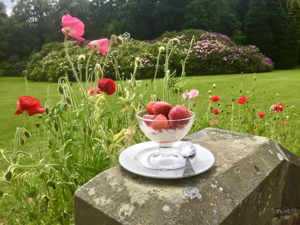 Garden in The Wrea Head Hall Country House Hotel & Restaurant
