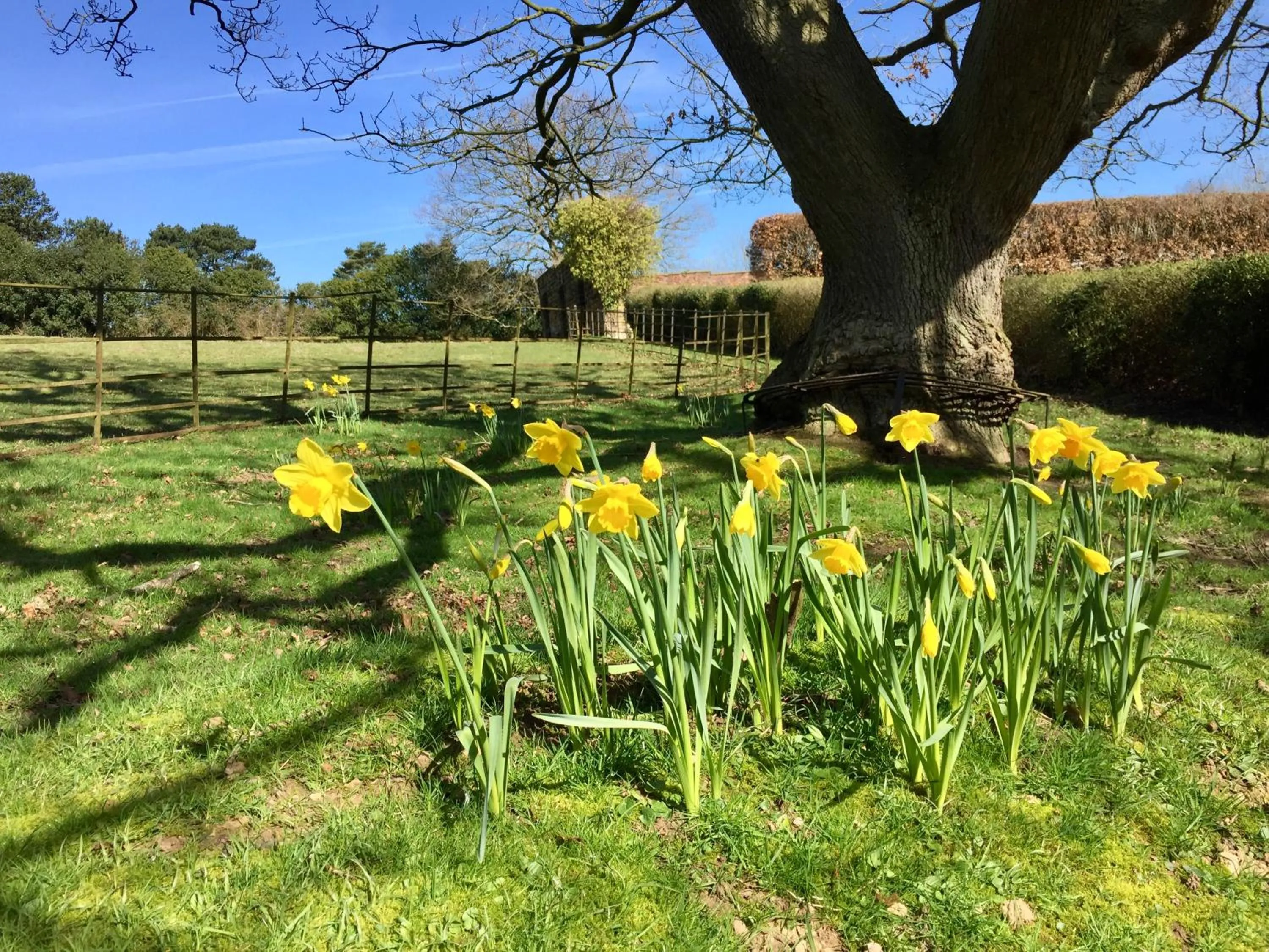 Garden in The Wrea Head Hall Country House Hotel & Restaurant