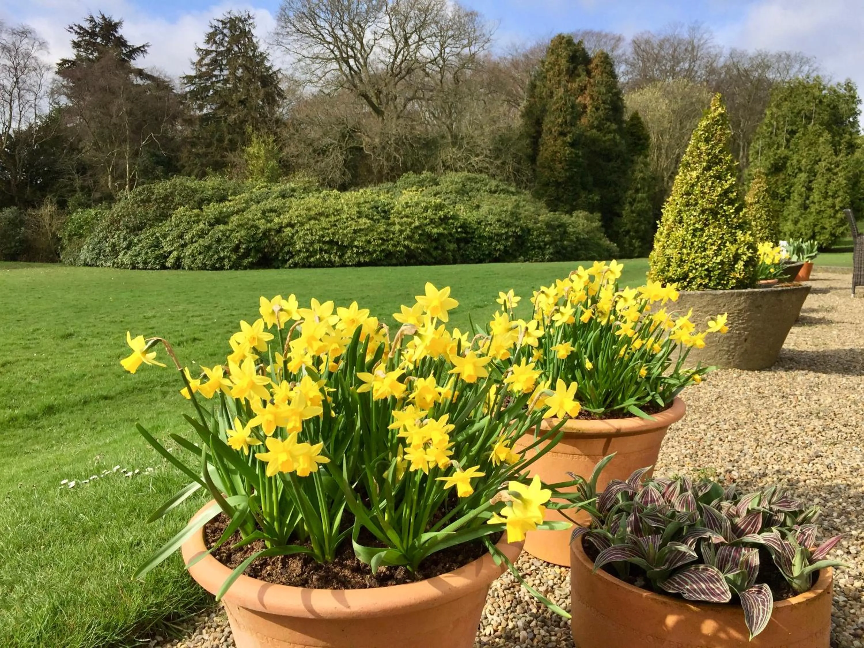 Garden in The Wrea Head Hall Country House Hotel & Restaurant