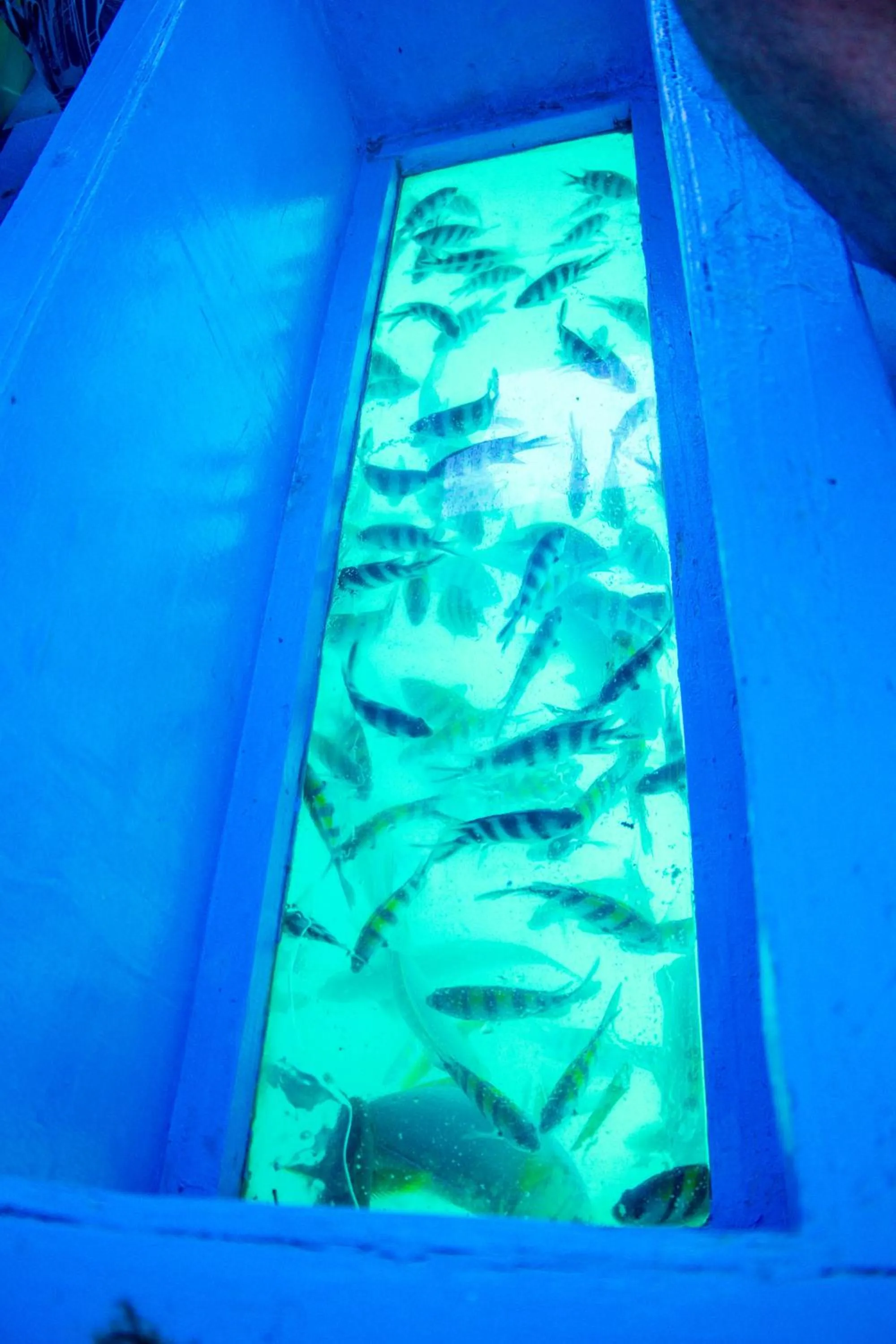 Beach in Nightingale Apartments Hotel Mombasa