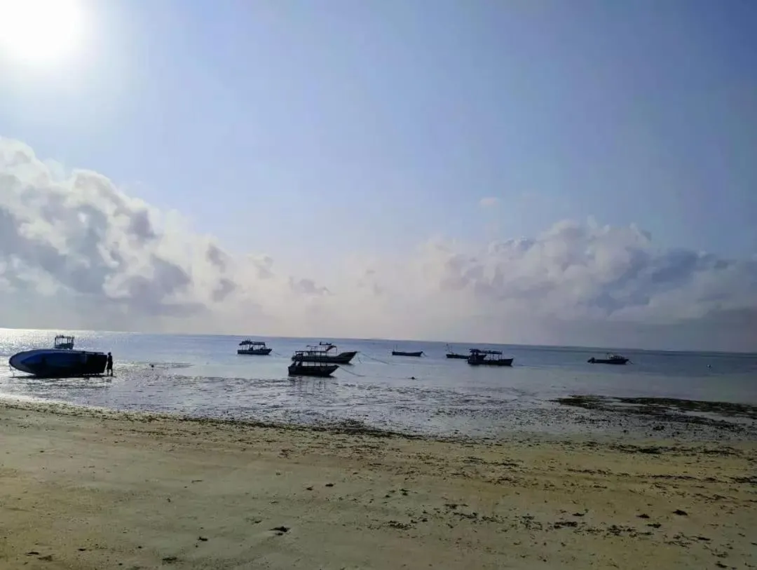 Beach in Nightingale Apartments Hotel Mombasa
