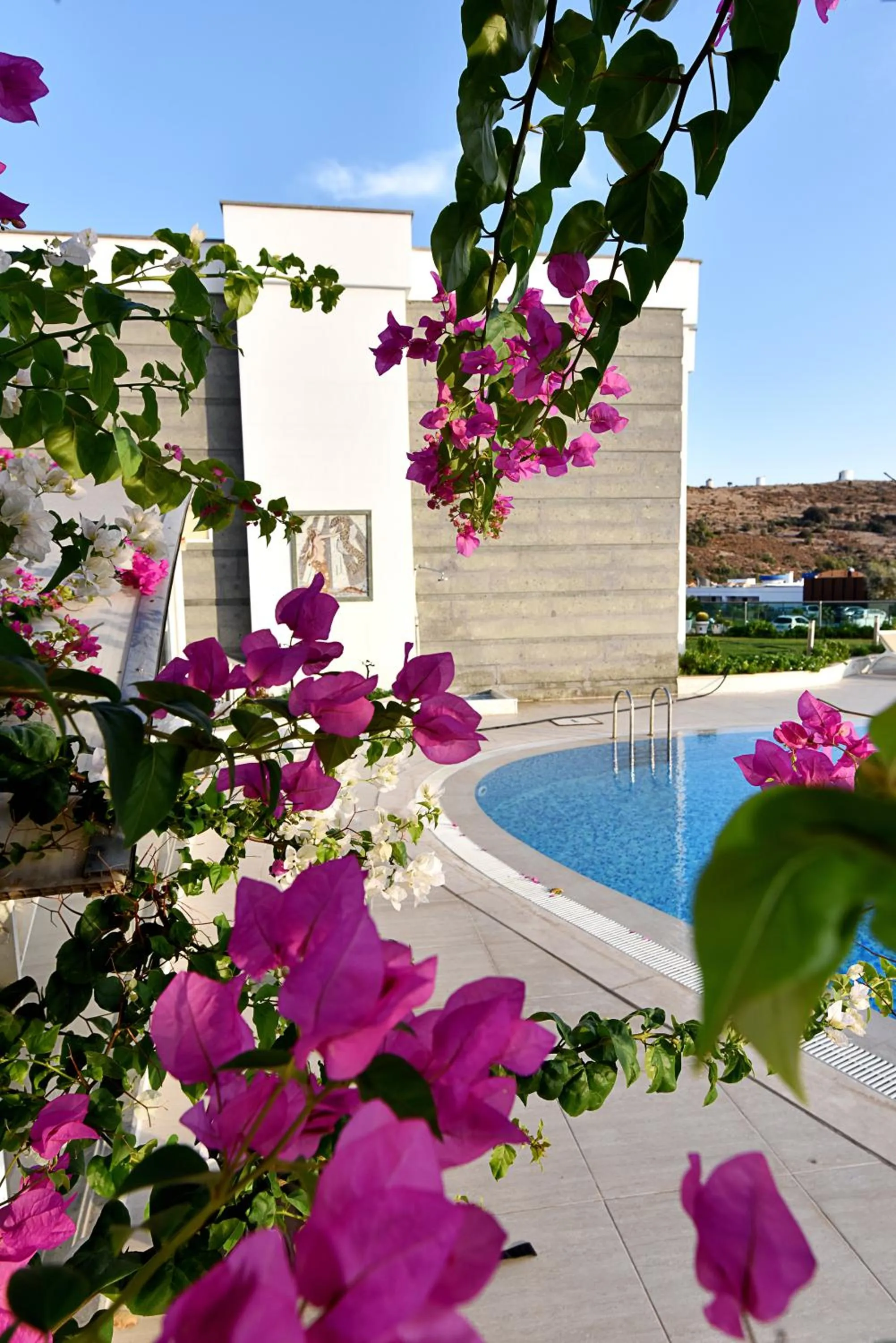 Garden in Royal Palm Residence